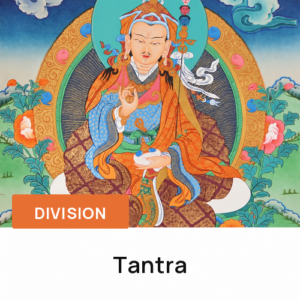 Division Tantra