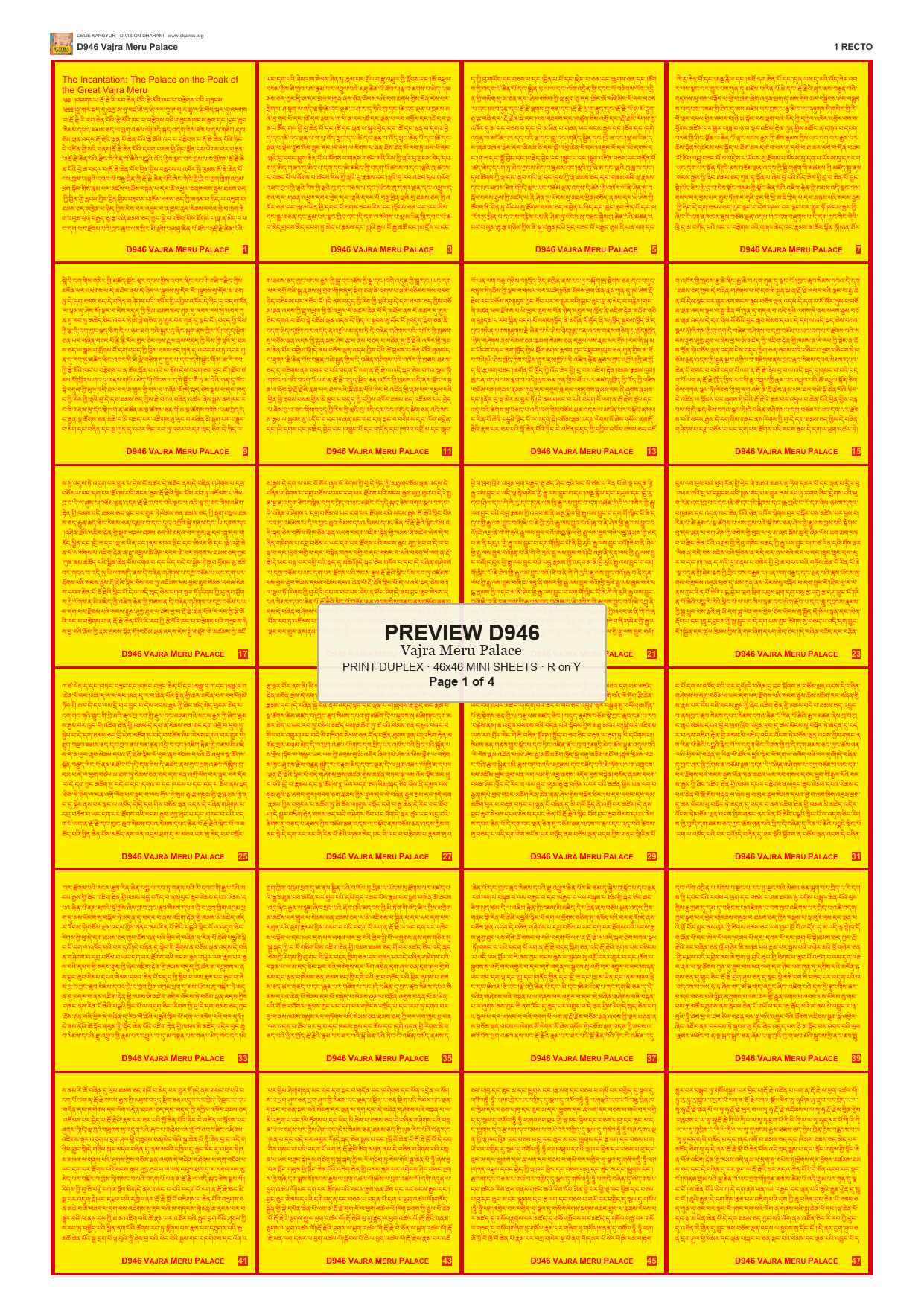 Preview DEGE-KANG-D00946 — page 1