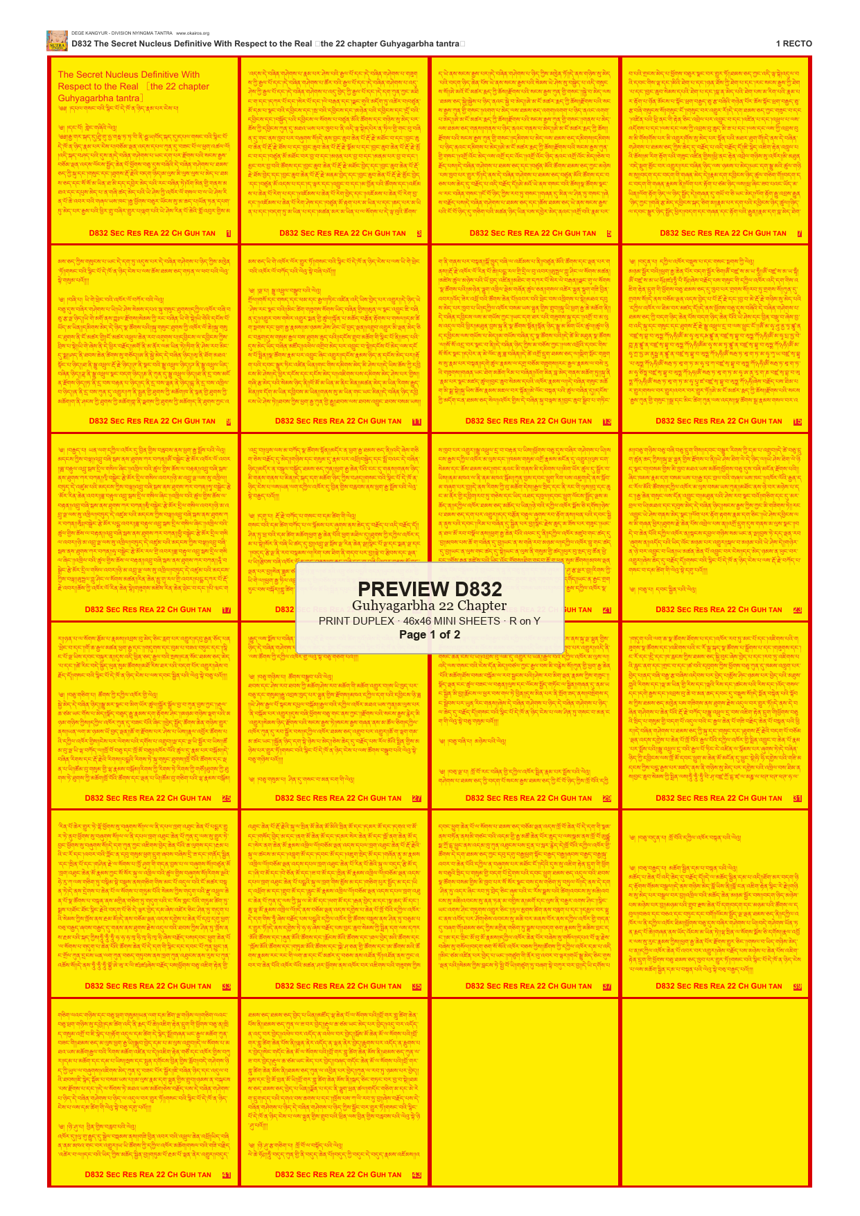 Preview DEGE-KANG-D00832 — page 1