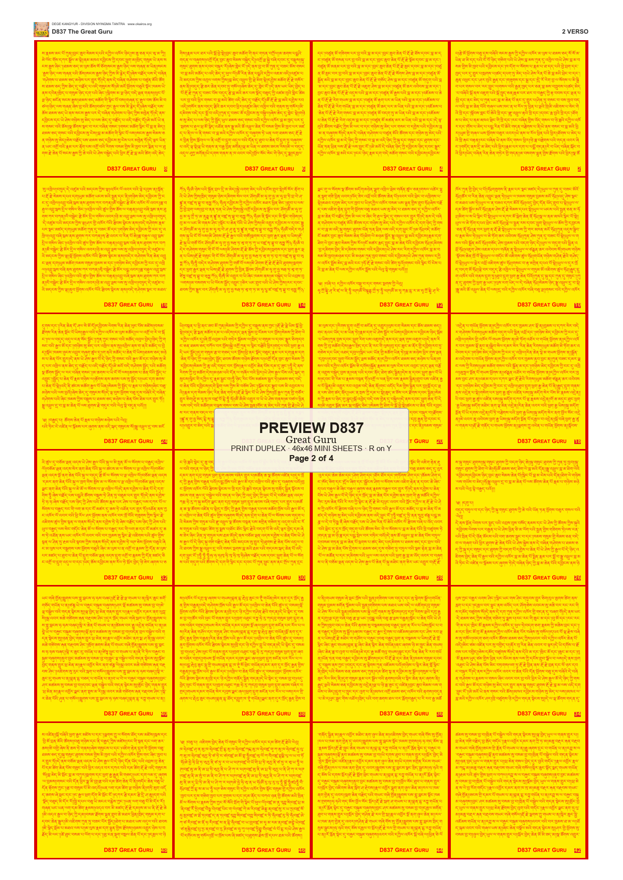 Preview DEGE-KANG-D00837 — page 2