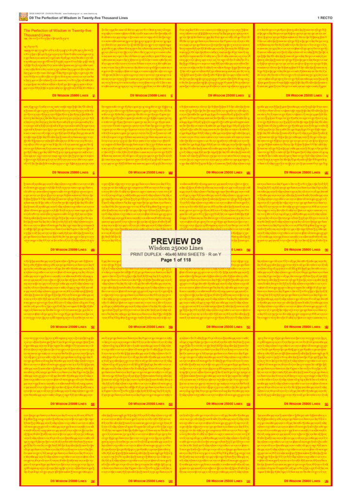 Preview DEGE-KANG-D00009 — page 1