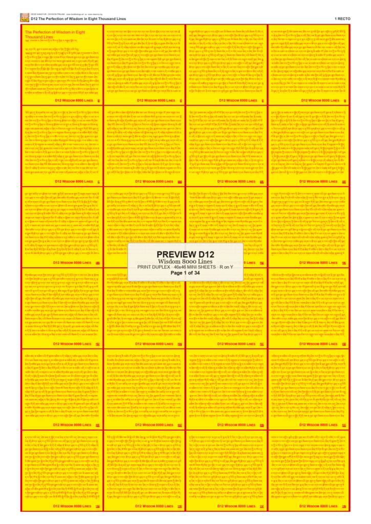 Preview DEGE-KANG-D00012 — page 1