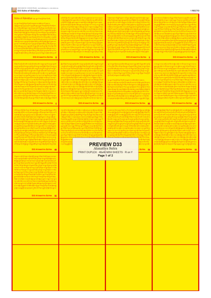 Preview DEGE-KANG-D00033 — page 1