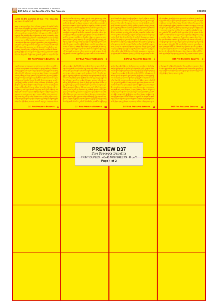 Preview DEGE-KANG-D00037 — page 1