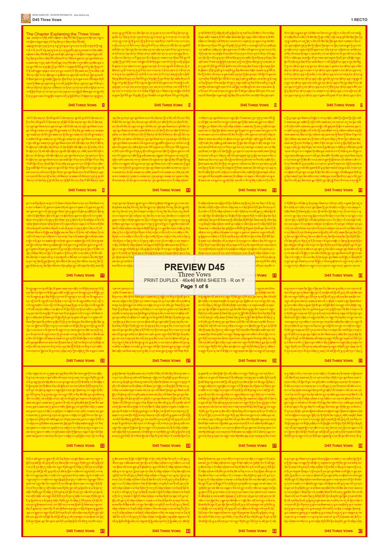 Preview DEGE-KANG-D00045 — page 1