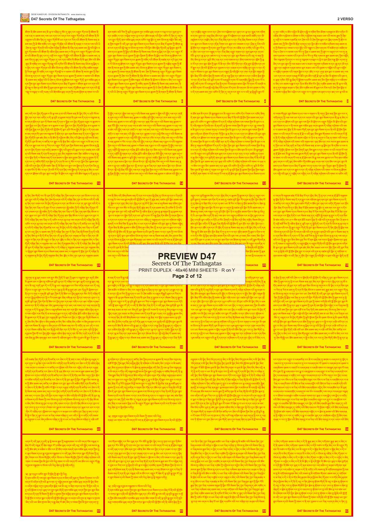 Preview DEGE-KANG-D00047 — page 2