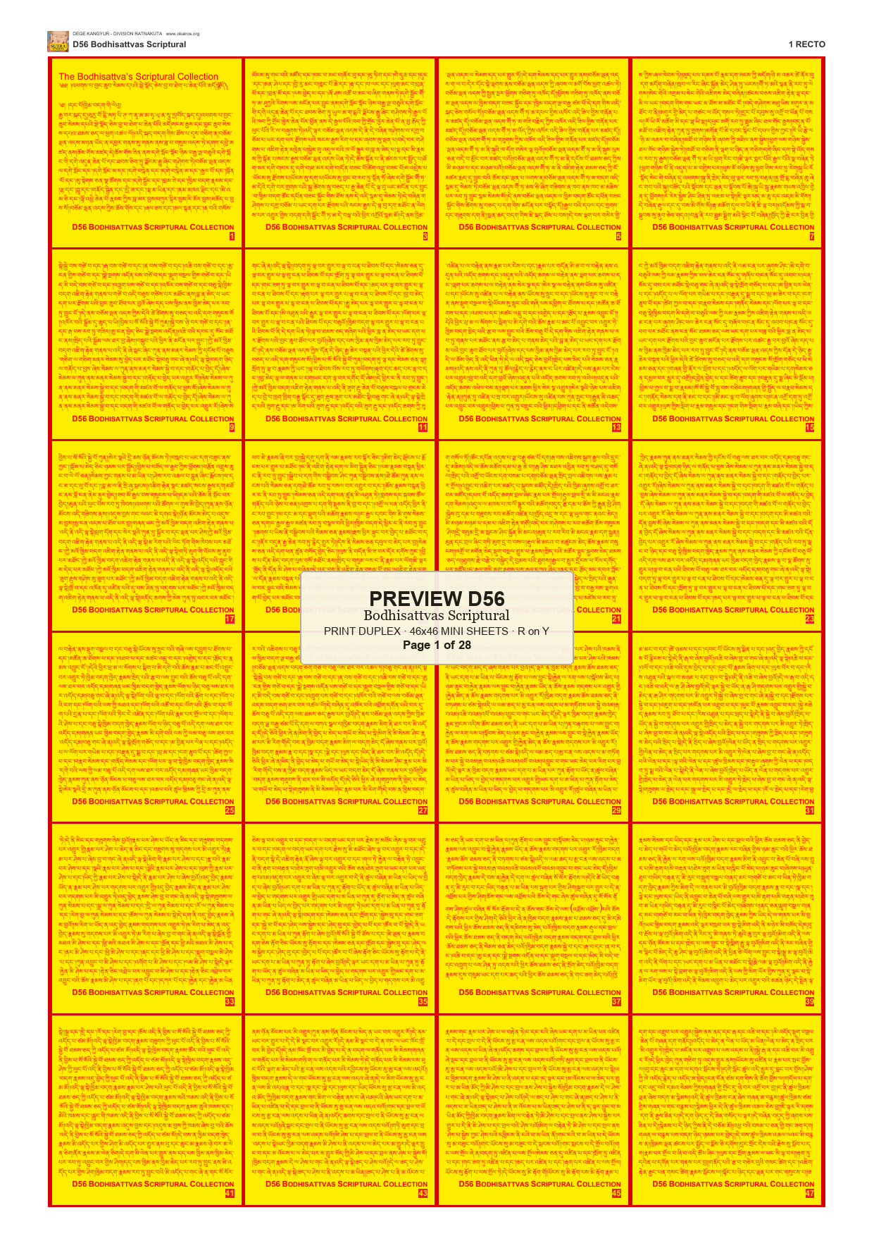 Preview DEGE-KANG-D00056 — page 1