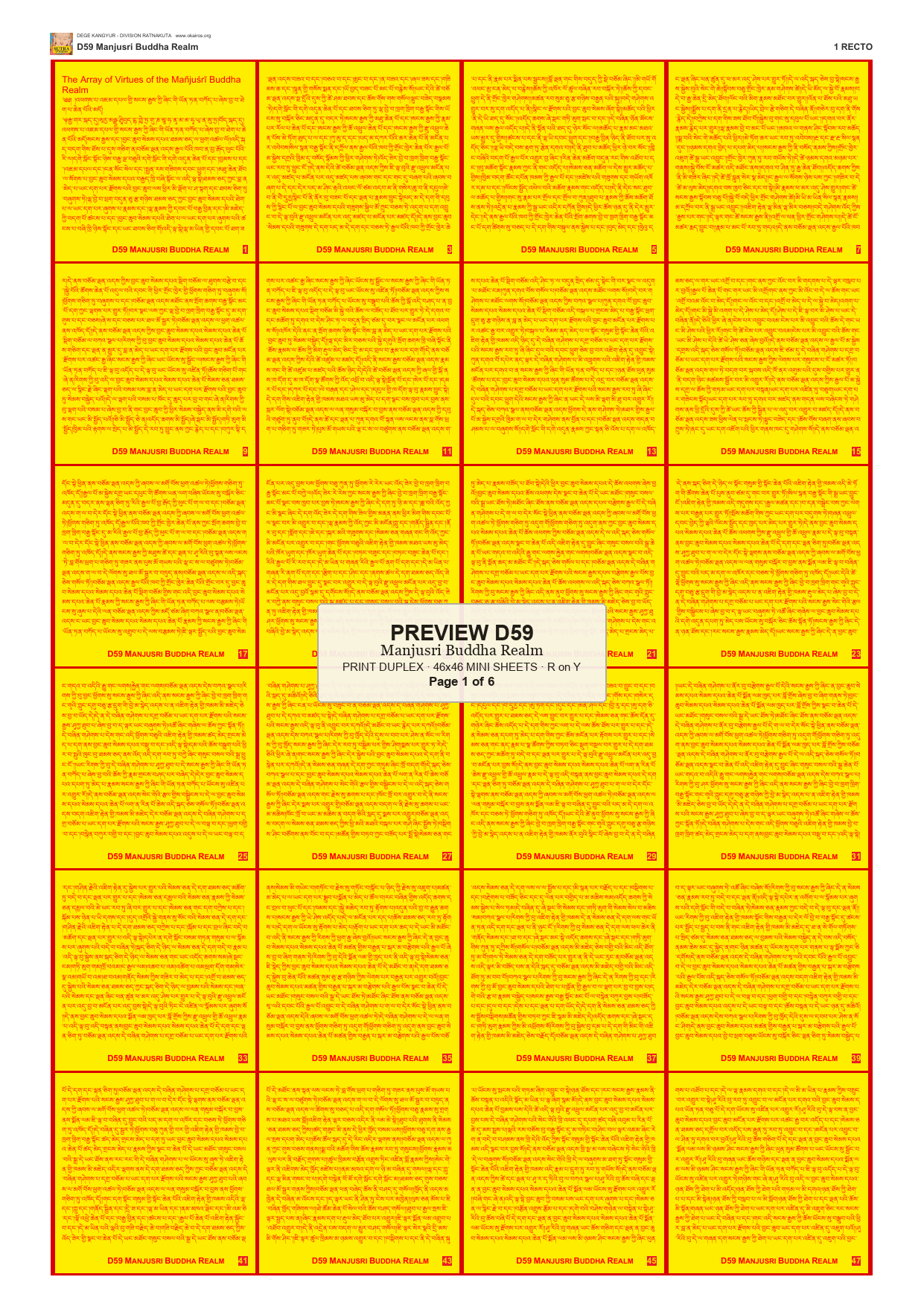 Preview DEGE-KANG-D00059 — page 1