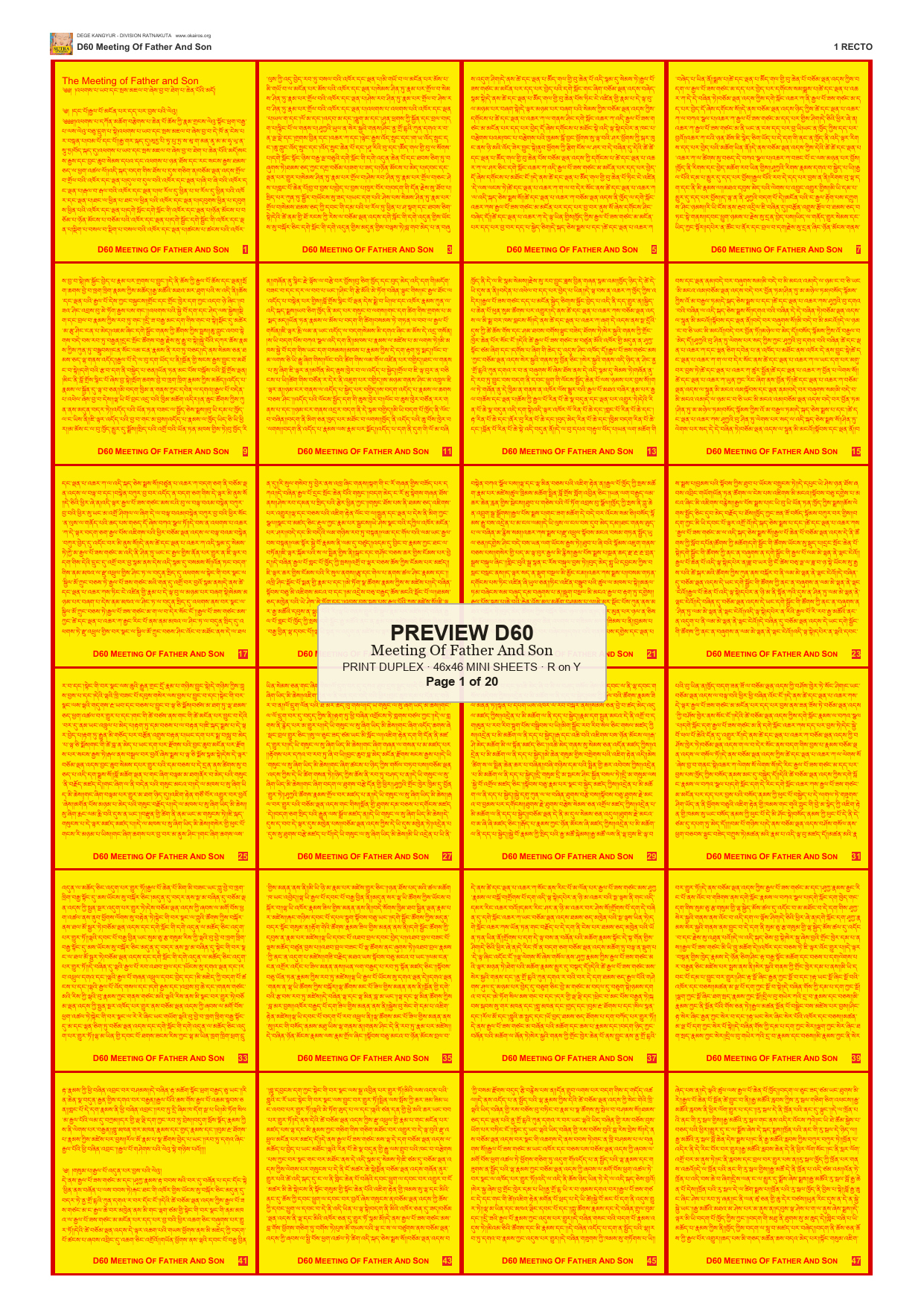 Preview DEGE-KANG-D00060 — page 1
