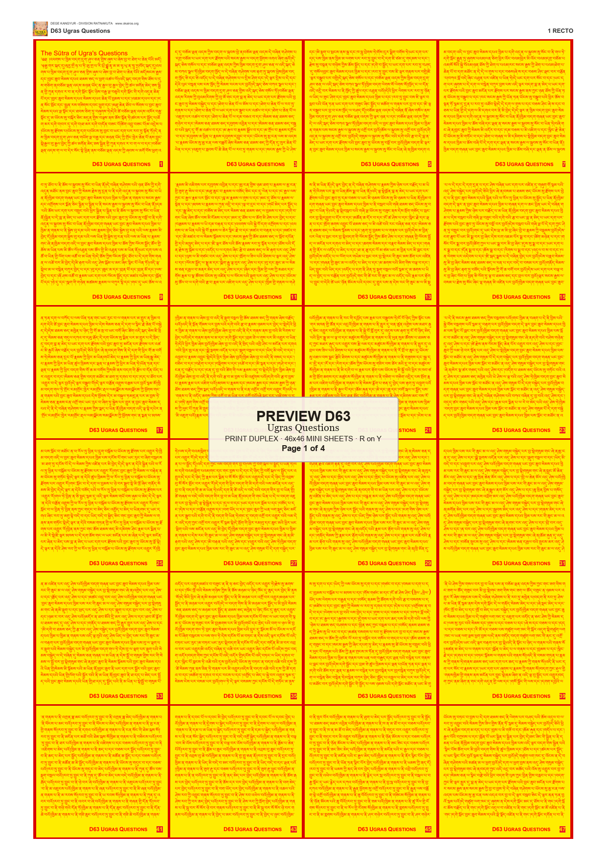 Preview DEGE-KANG-D00063 — page 1