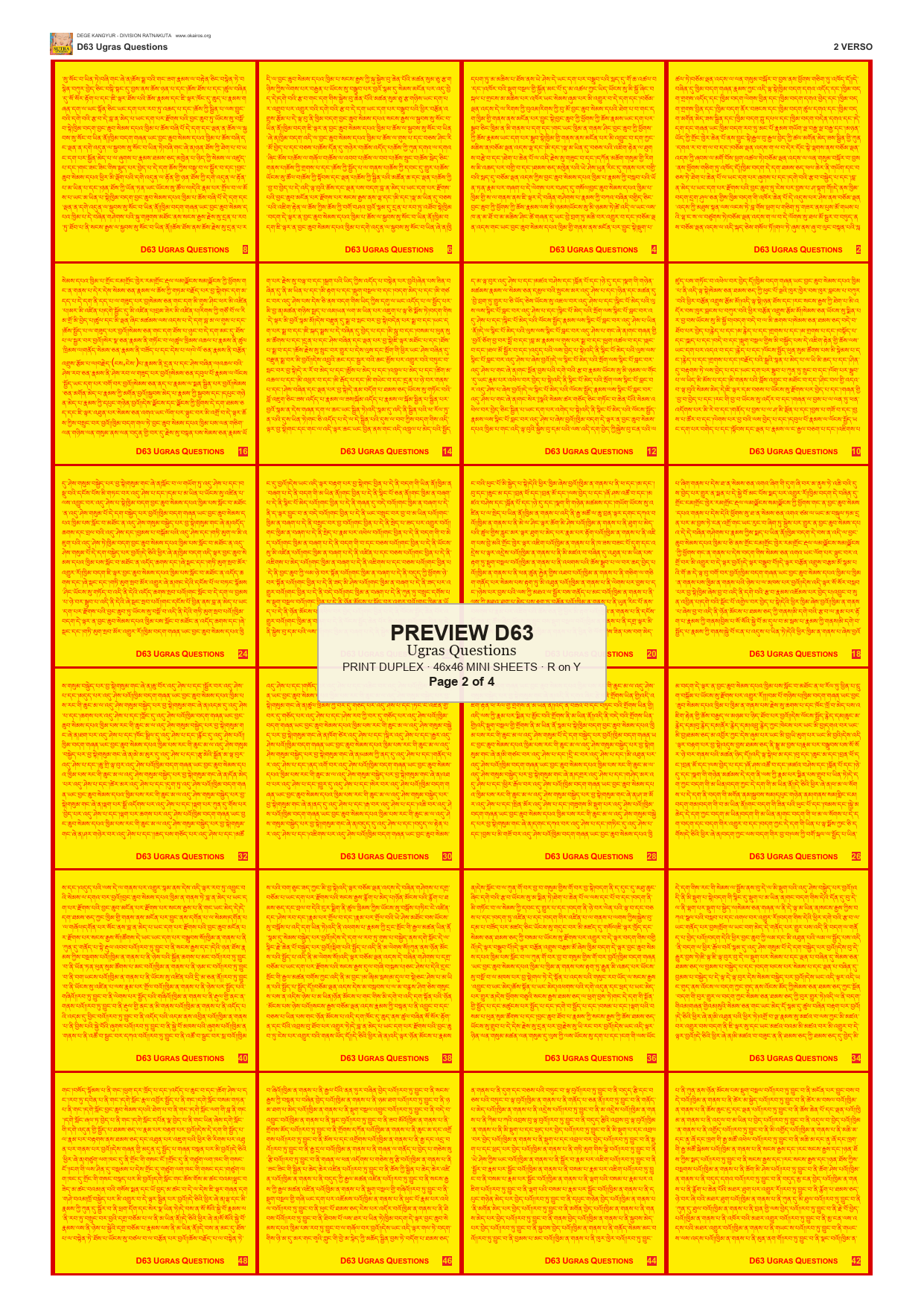 Preview DEGE-KANG-D00063 — page 2