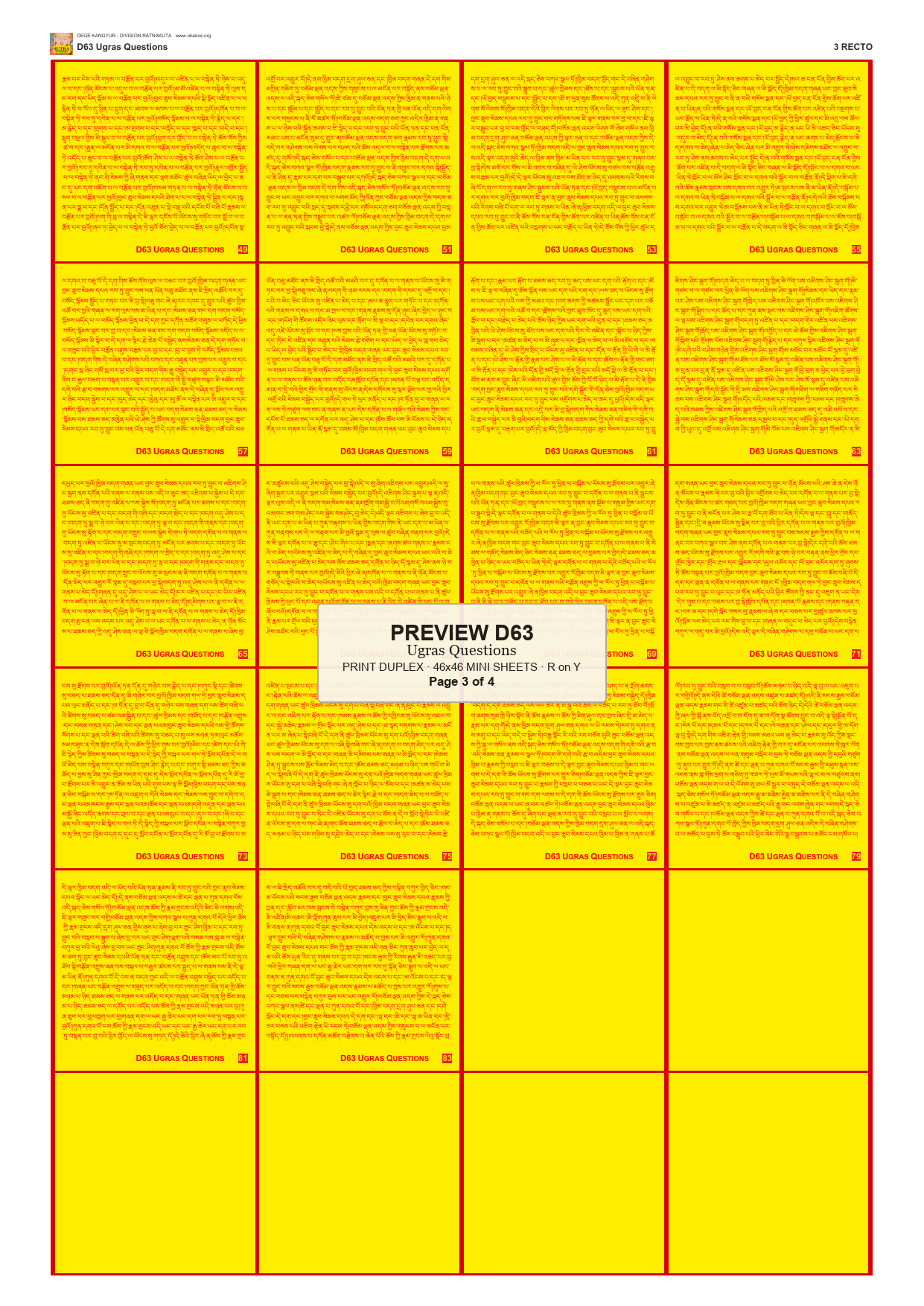 Preview DEGE-KANG-D00063 — page 3