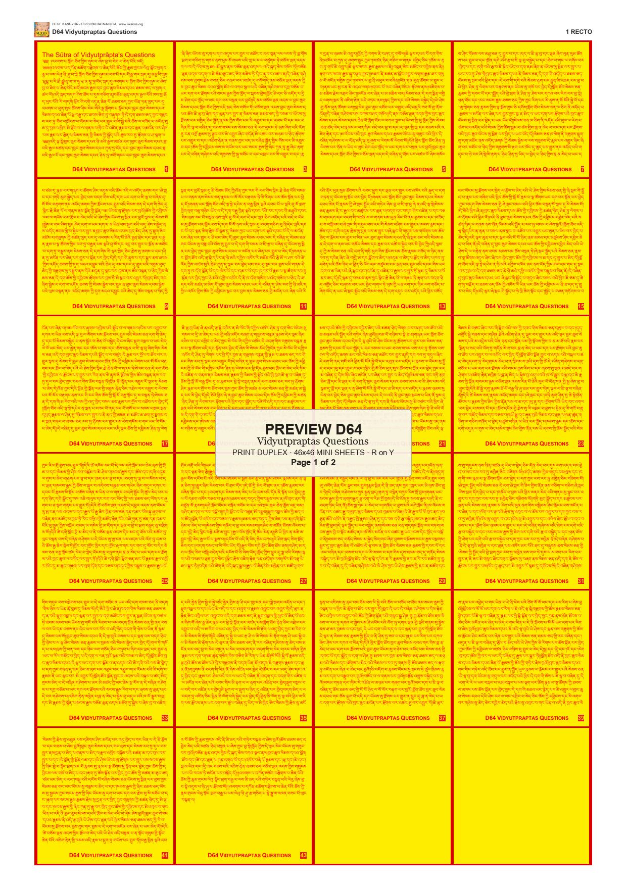 Preview DEGE-KANG-D00064 — page 1