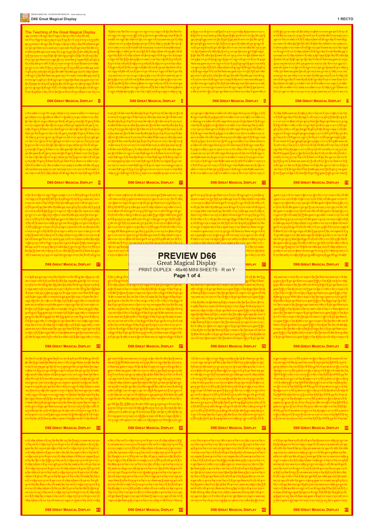 Preview DEGE-KANG-D00066 — page 1