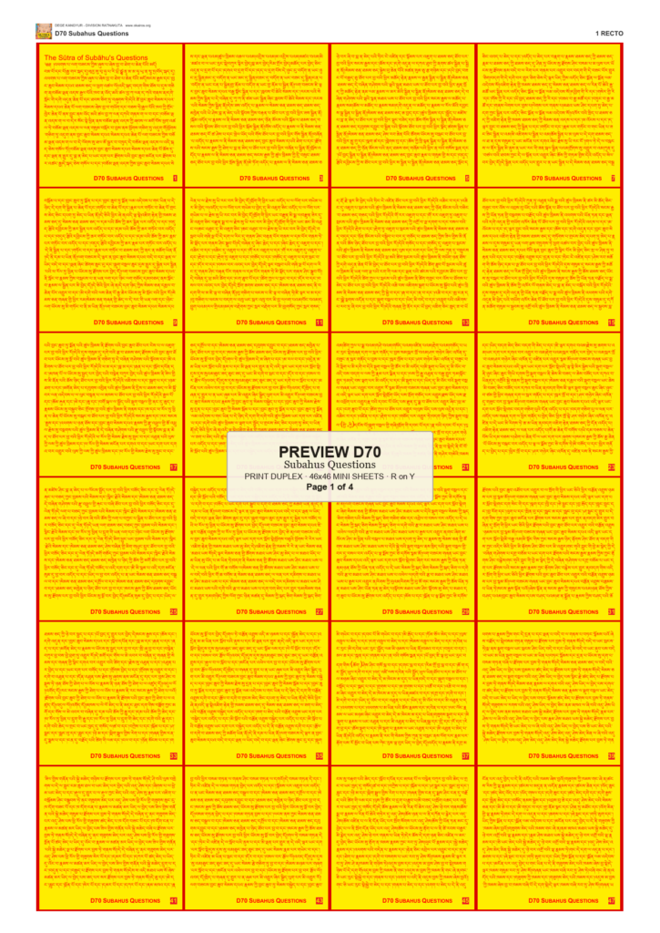 Preview DEGE-KANG-D00070 — page 1