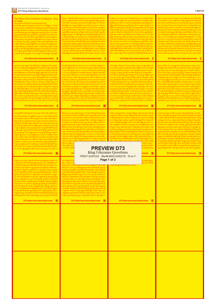 Preview DEGE-KANG-D00073 — page 1