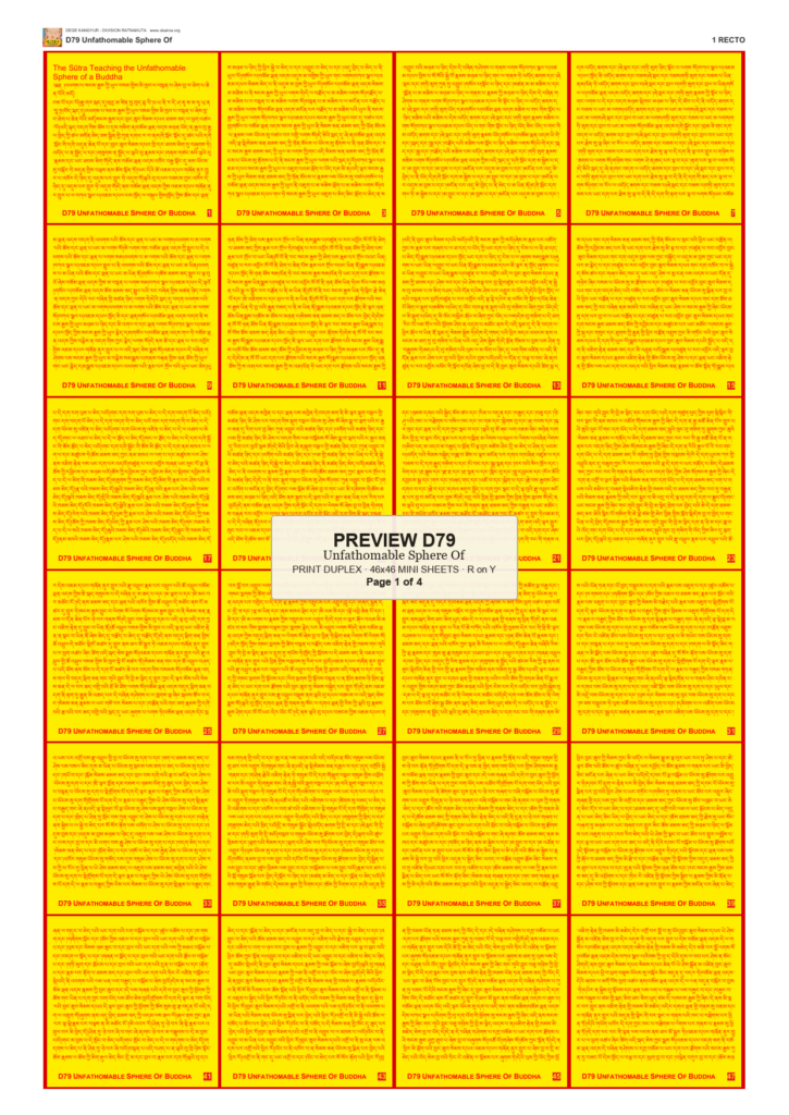 Preview DEGE-KANG-D00079 — page 1