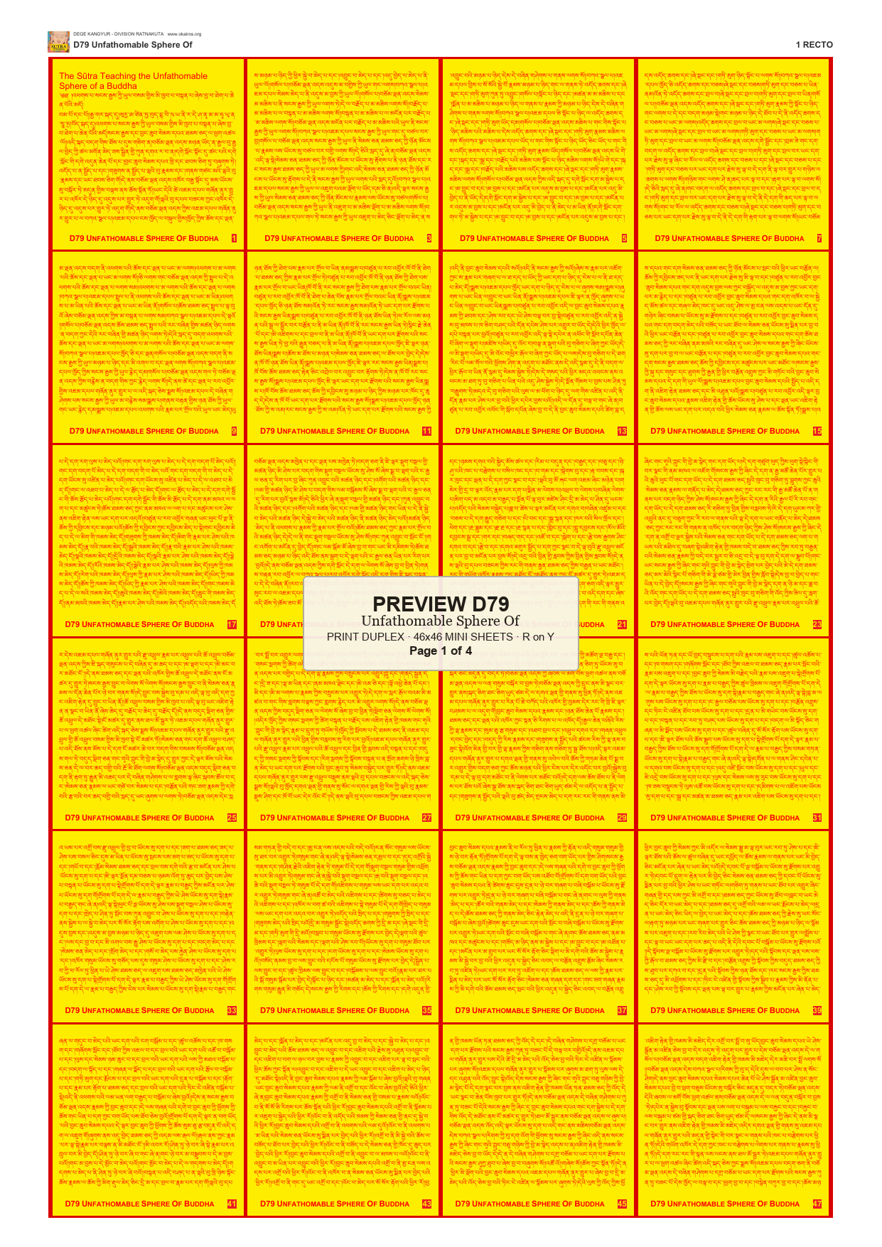 Preview DEGE-KANG-D00079 — page 1