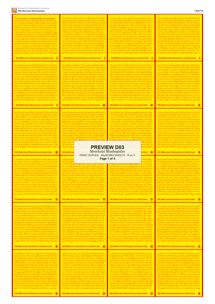 Preview DEGE-KANG-D00083 — page 1