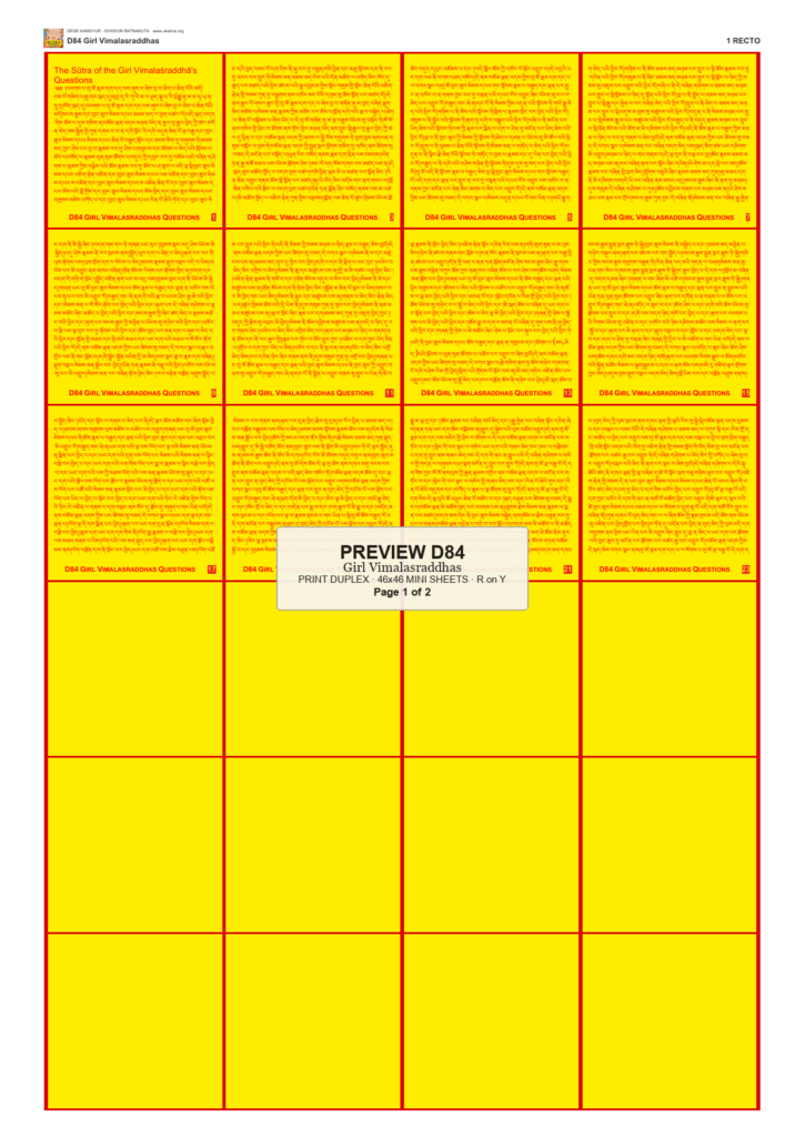 Preview DEGE-KANG-D00084 — page 1