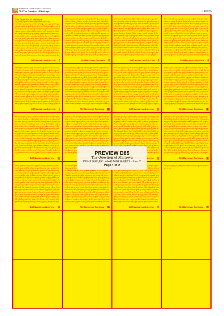 Preview DEGE-KANG-D00085 — page 1