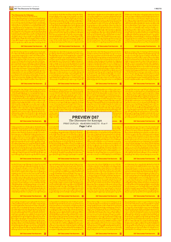 Preview DEGE-KANG-D00087 — page 1