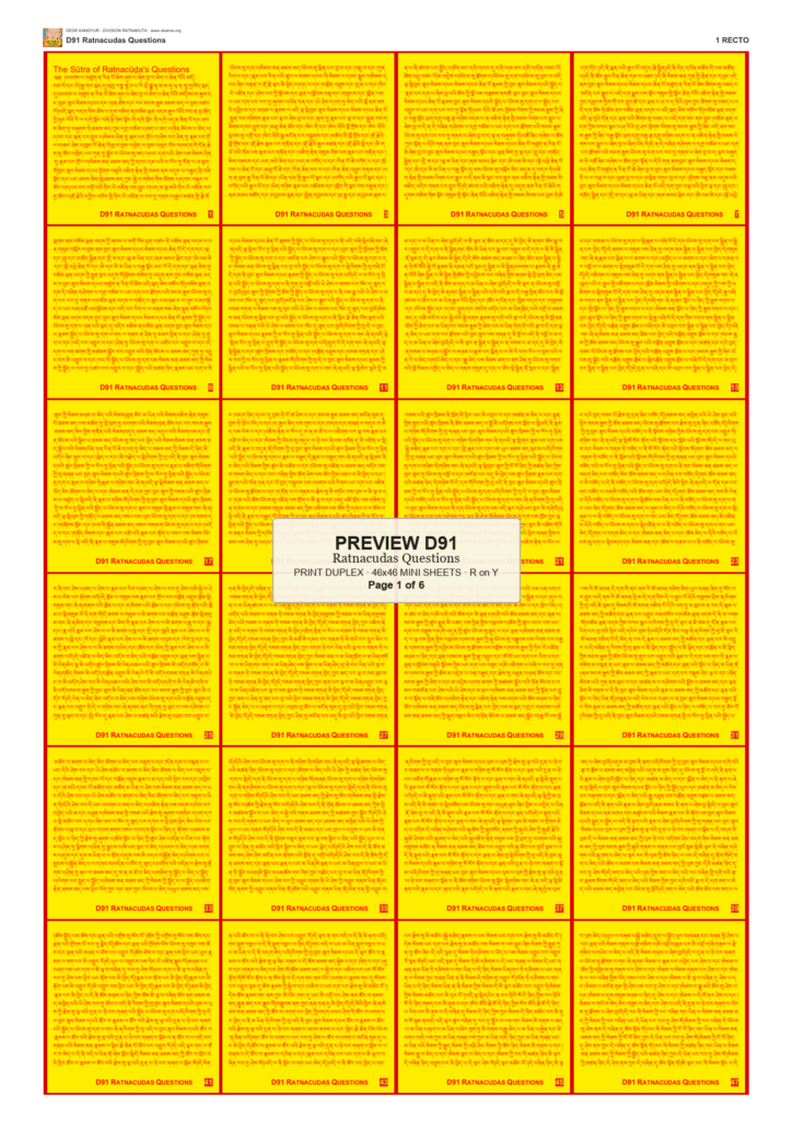 Preview DEGE-KANG-D00091 — page 1