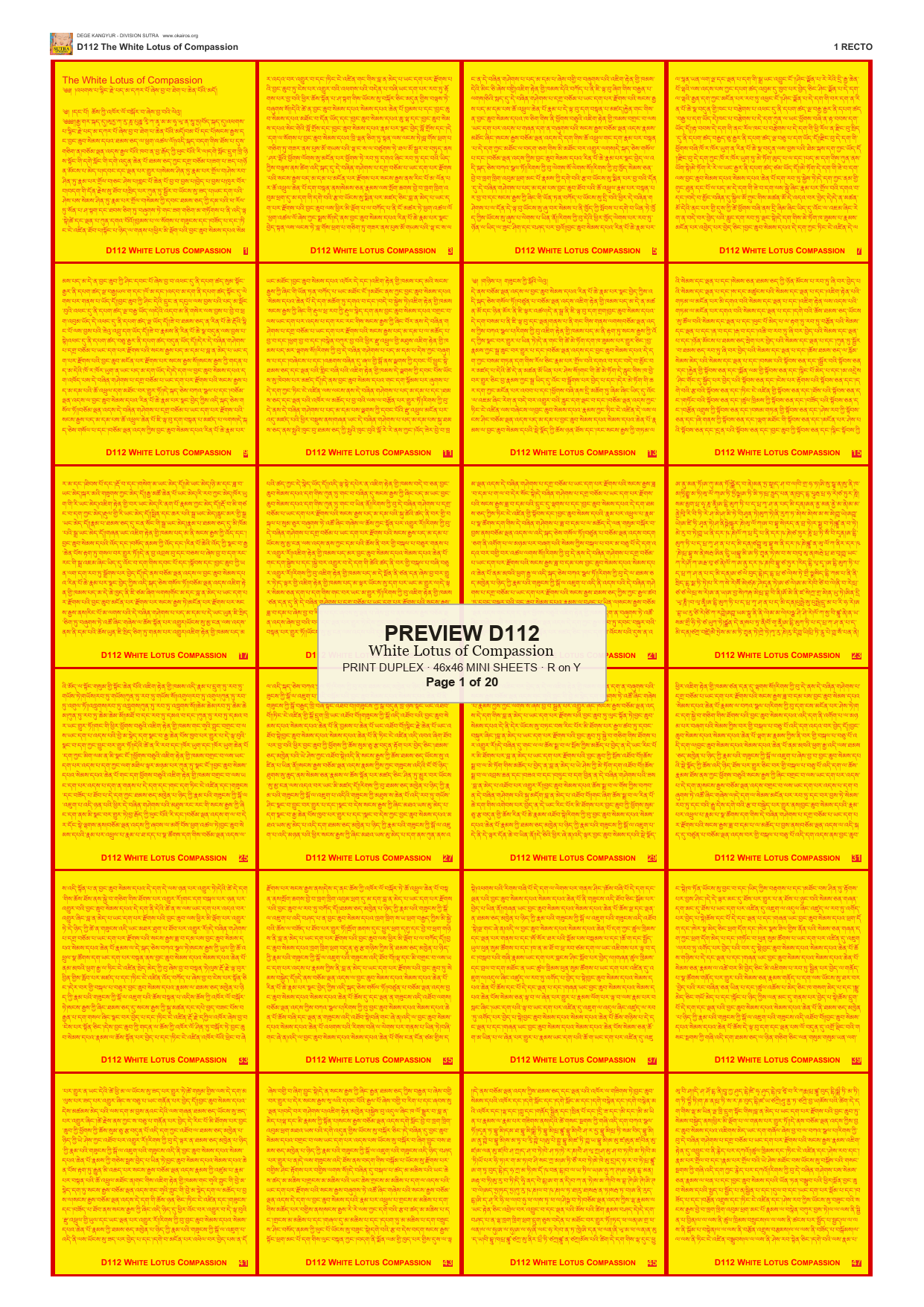 Preview DEGE-KANG-D00112 — page 1
