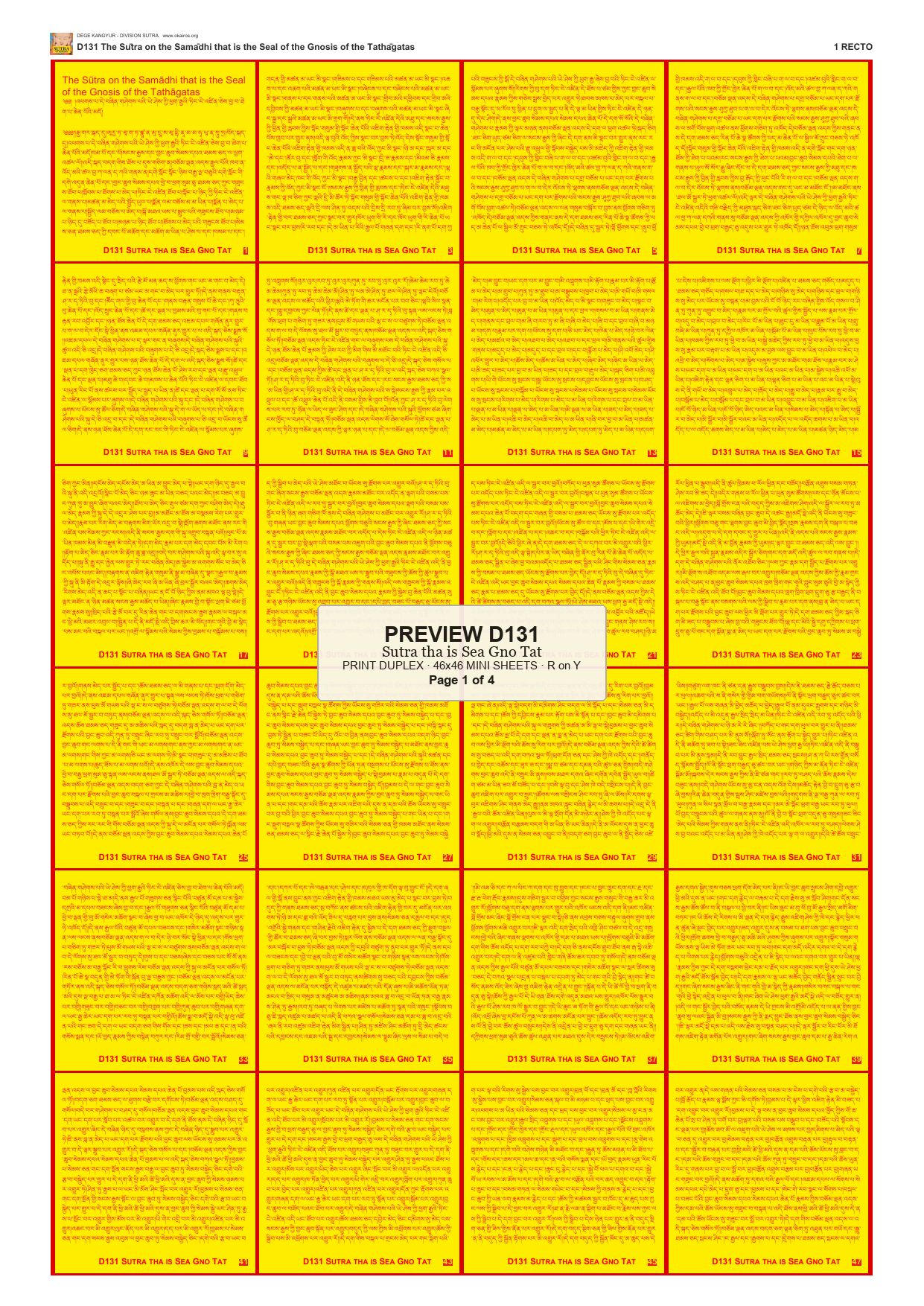 Preview DEGE-KANG-D00131 — page 1