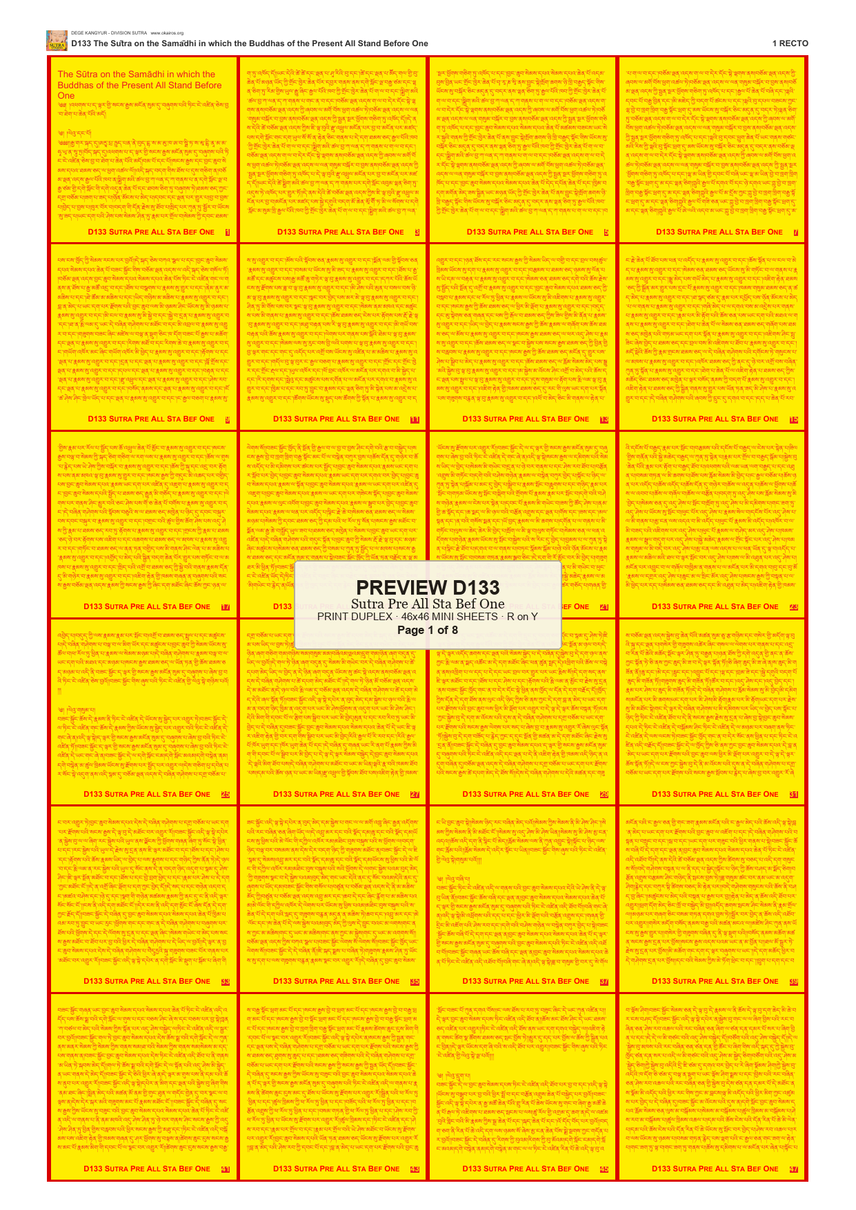 Preview DEGE-KANG-D00133 — page 1