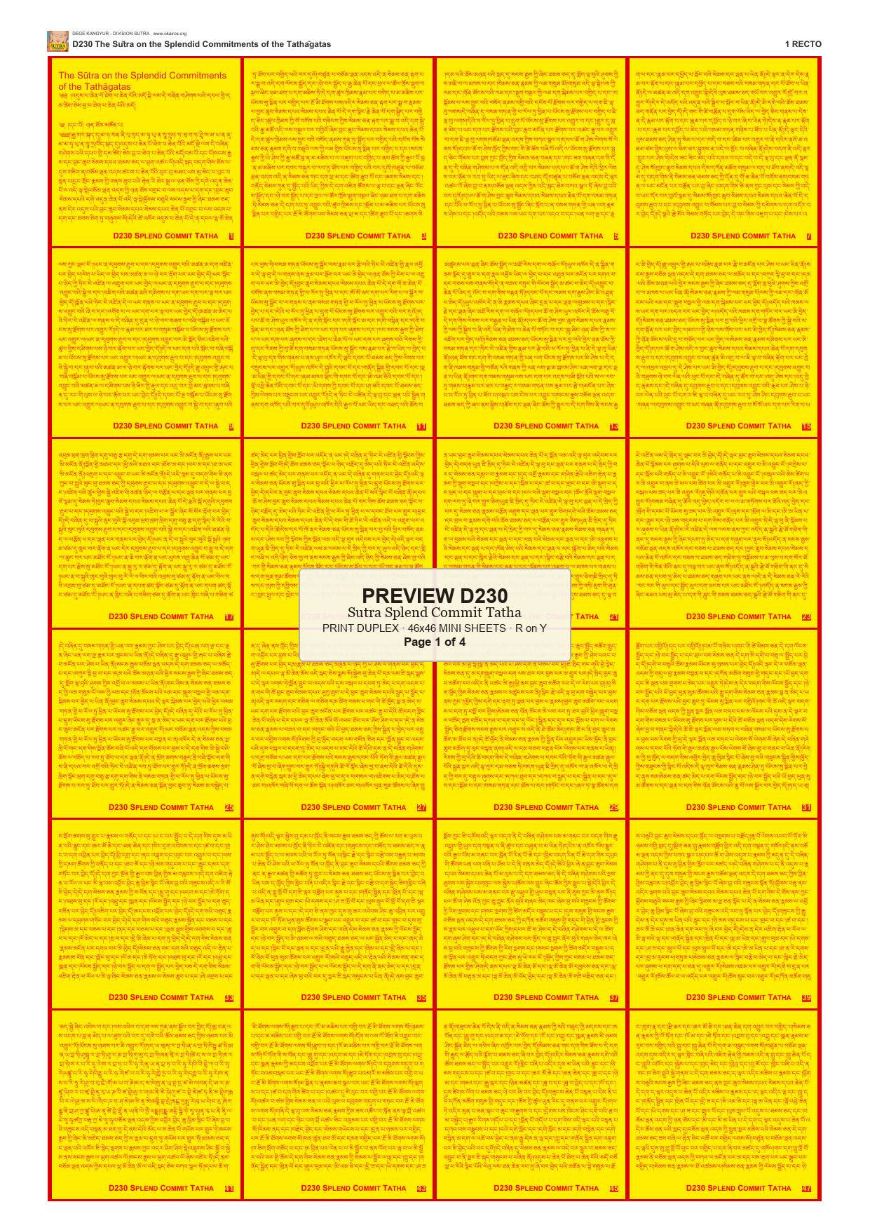 Preview DEGE-KANG-D00230 — page 1