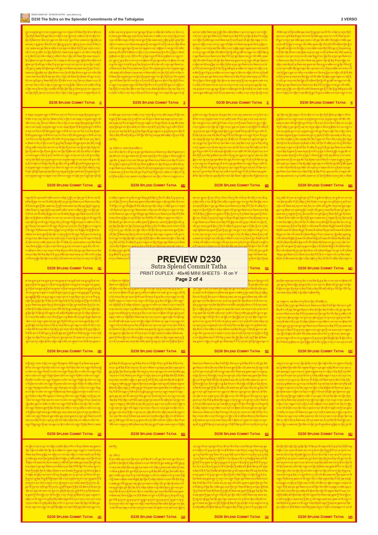 Preview DEGE-KANG-D00230 — page 2