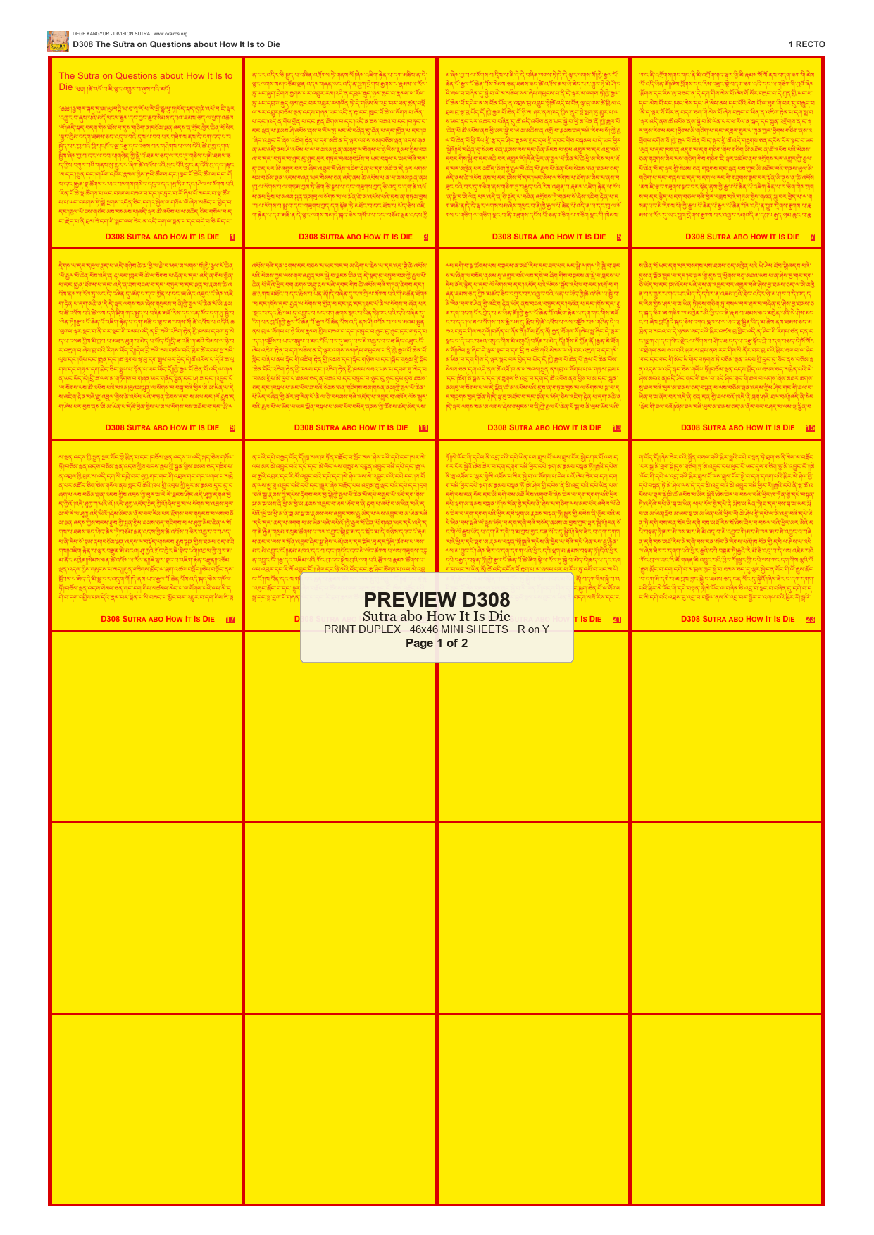 Preview DEGE-KANG-D00308 — page 1