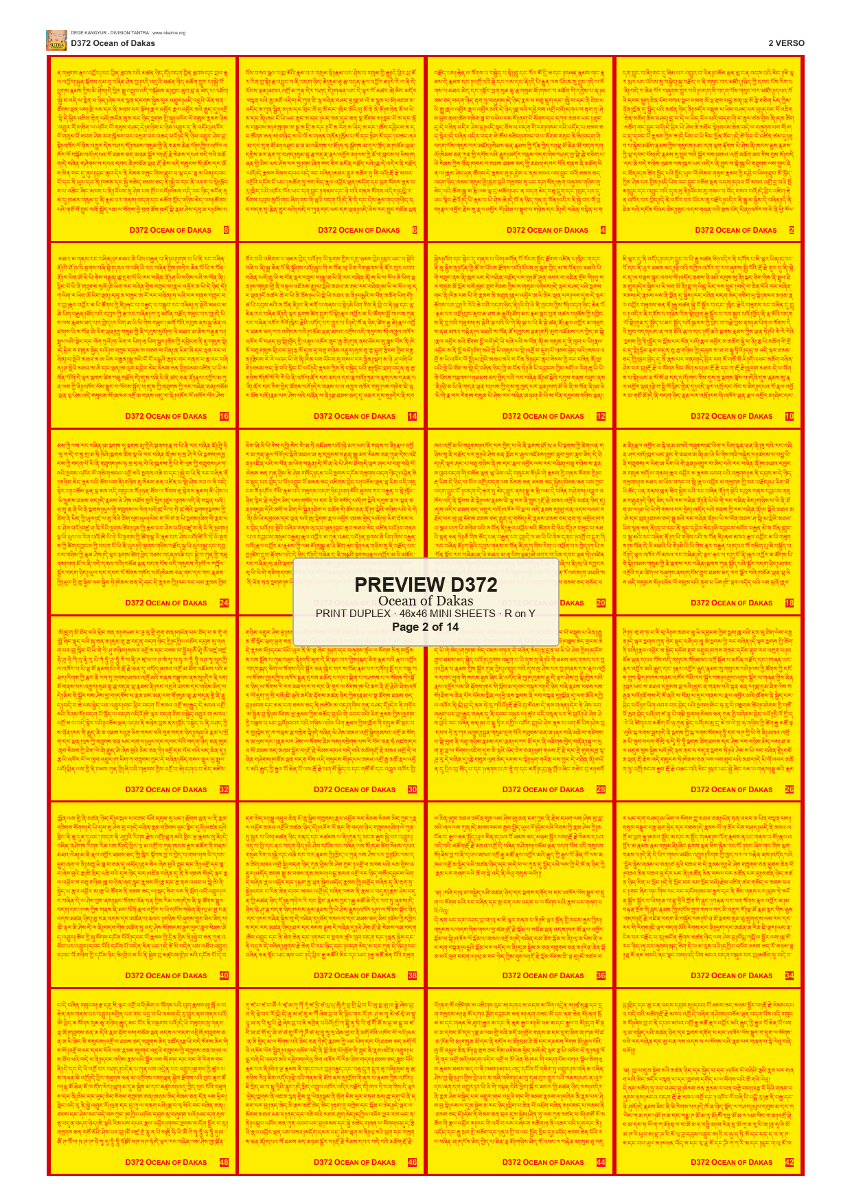 Preview DEGE-KANG-D00372 — page 2