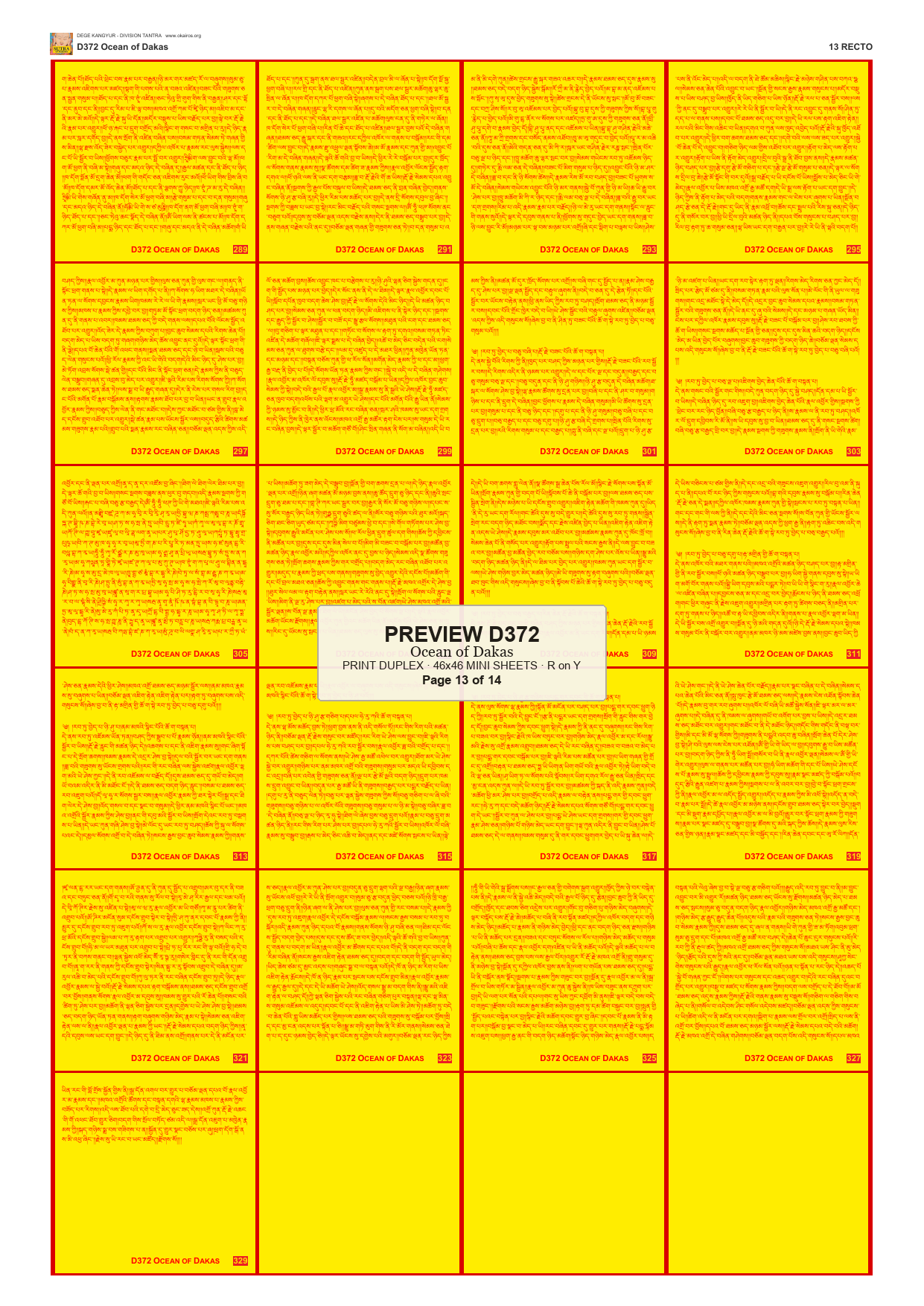 Preview DEGE-KANG-D00372 — page 13