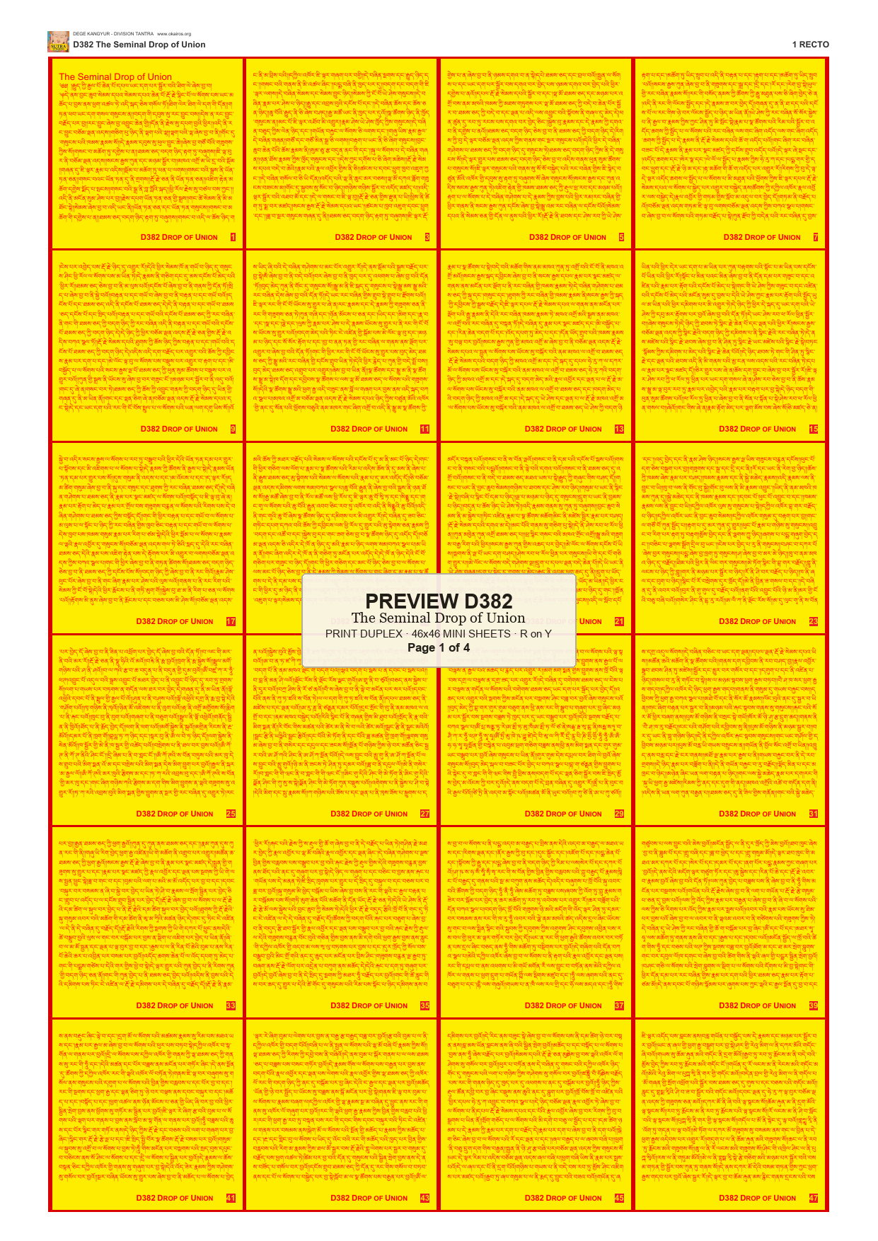 Preview DEGE-KANG-D00382 — page 1