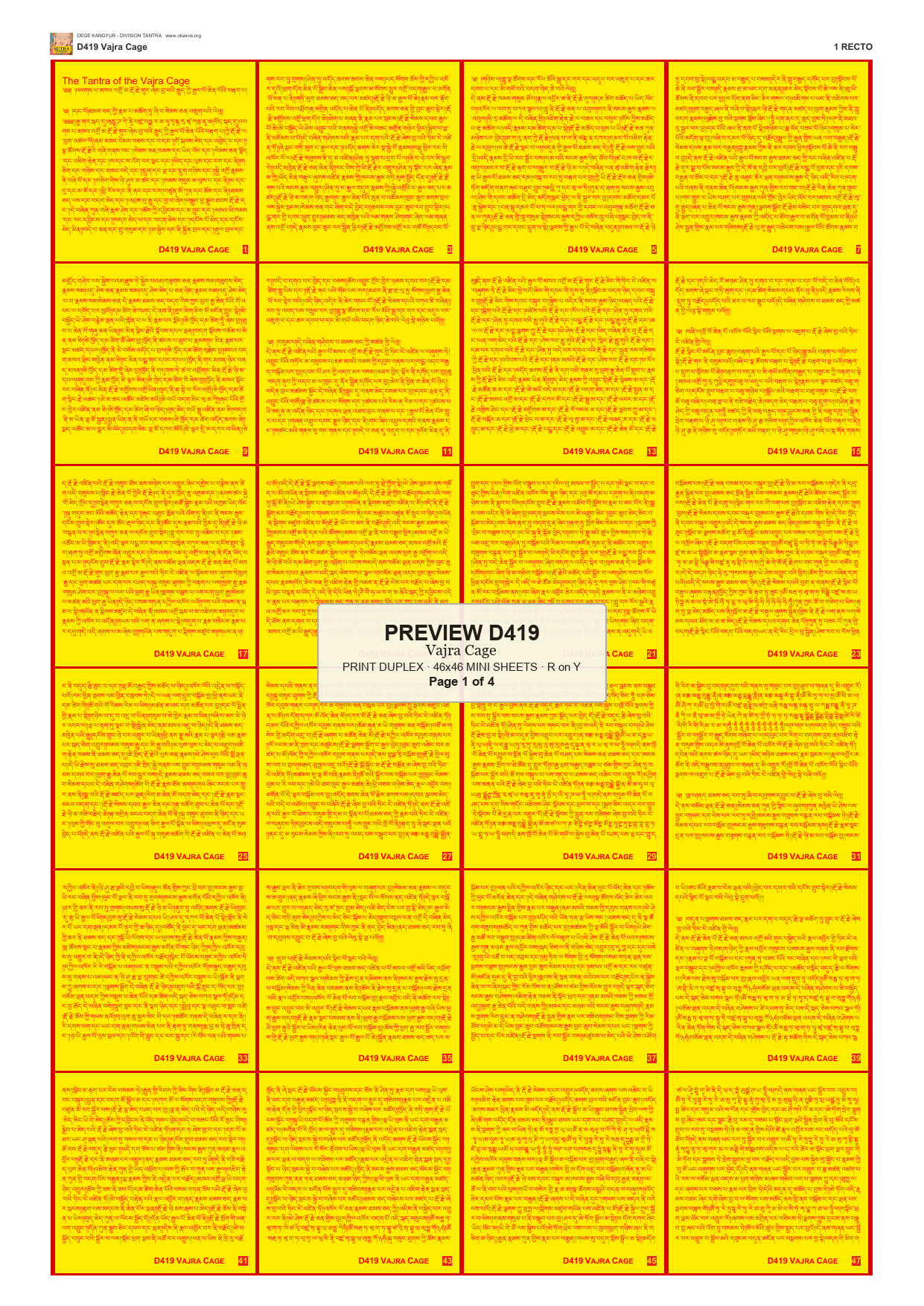 Preview DEGE-KANG-D00419 — page 1