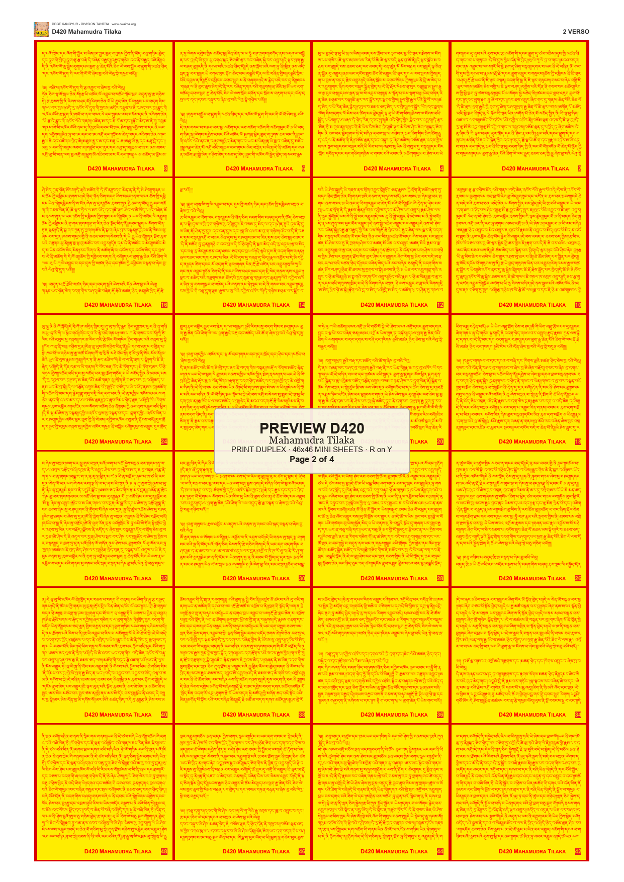 Preview DEGE-KANG-D00420 — page 2