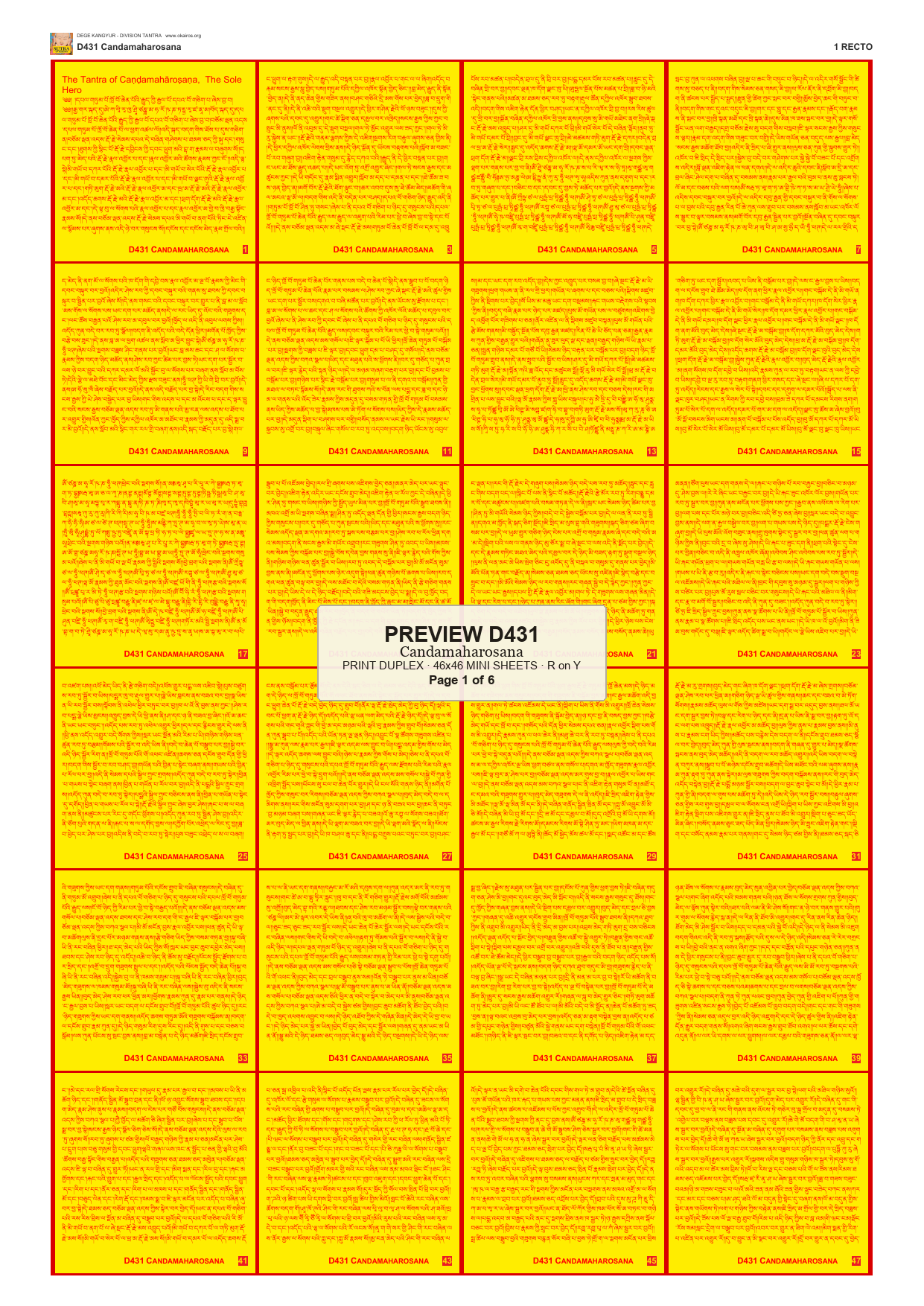 Preview DEGE-KANG-D00431 — page 1