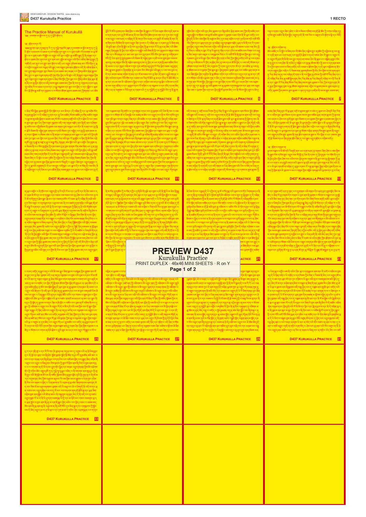 Preview DEGE-KANG-D00437 — page 1