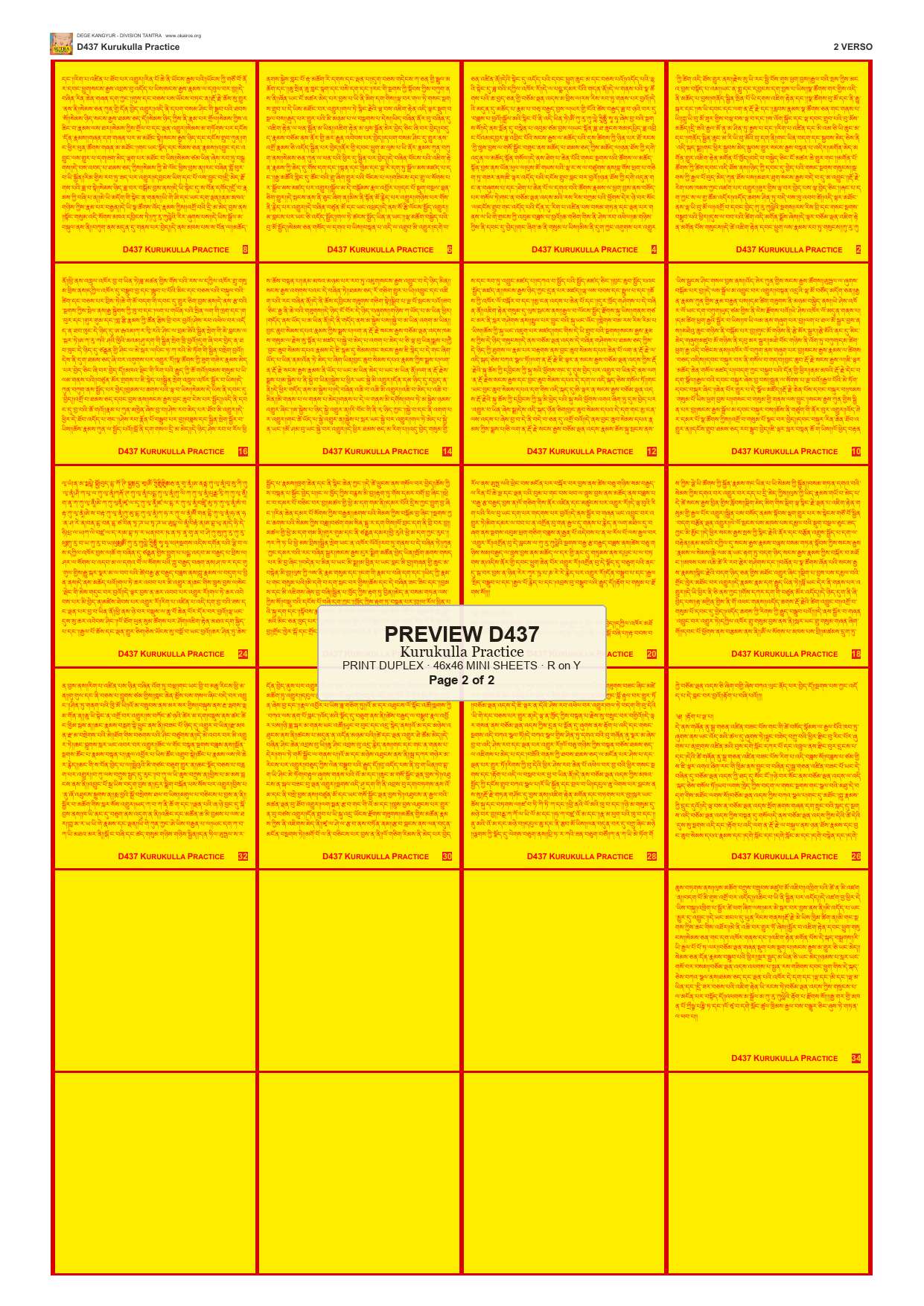 Preview DEGE-KANG-D00437 — page 2
