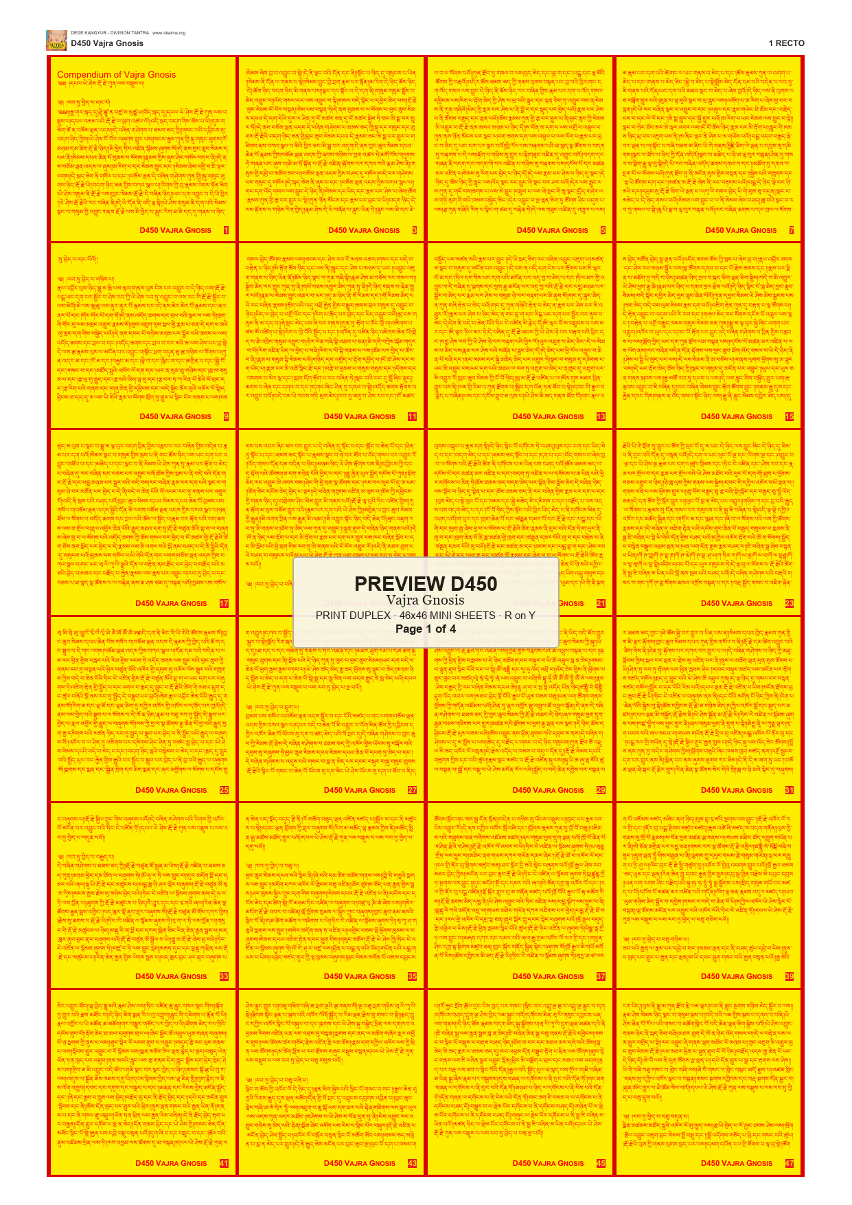 Preview DEGE-KANG-D00450 — page 1