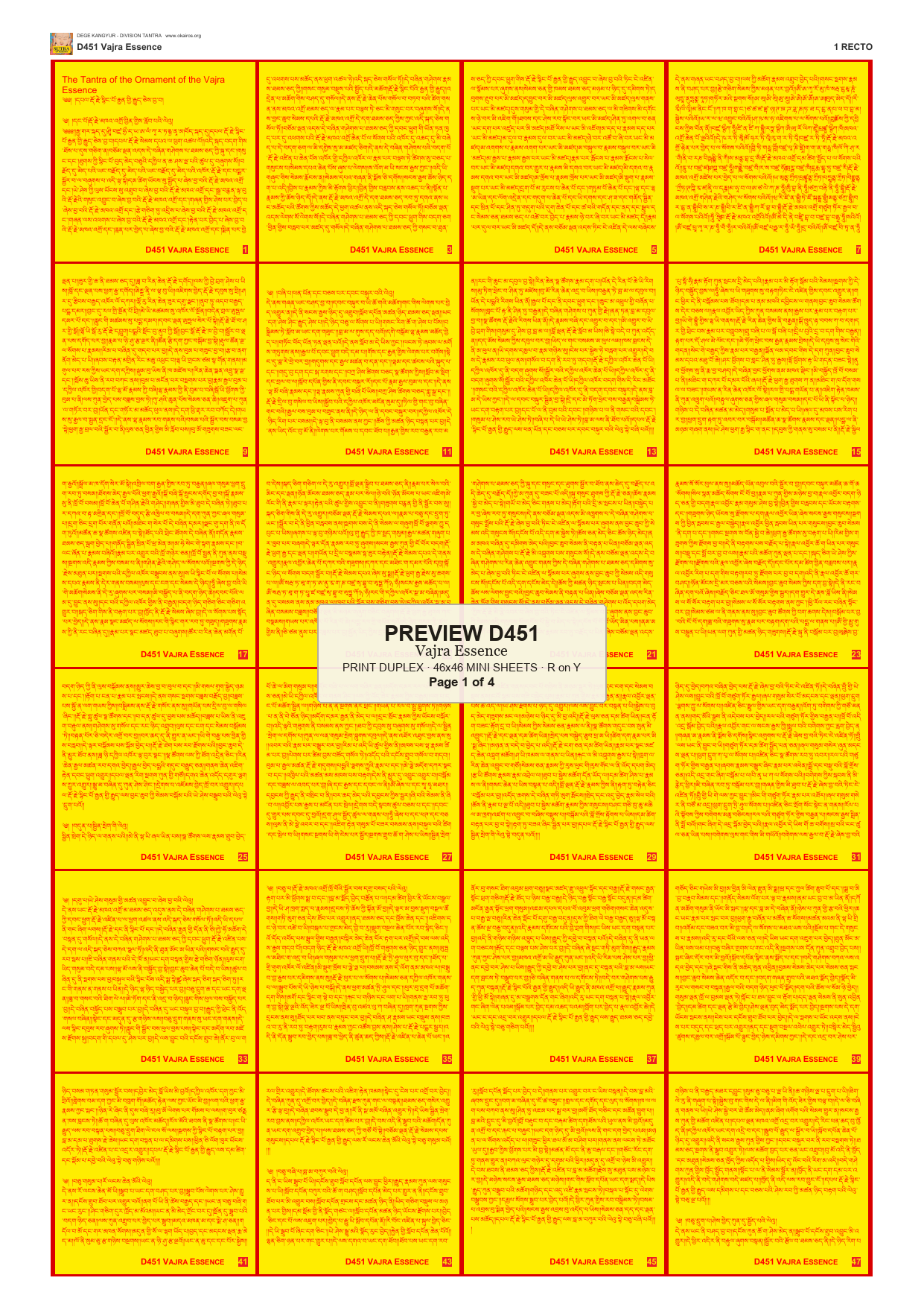 Preview DEGE-KANG-D00451 — page 1