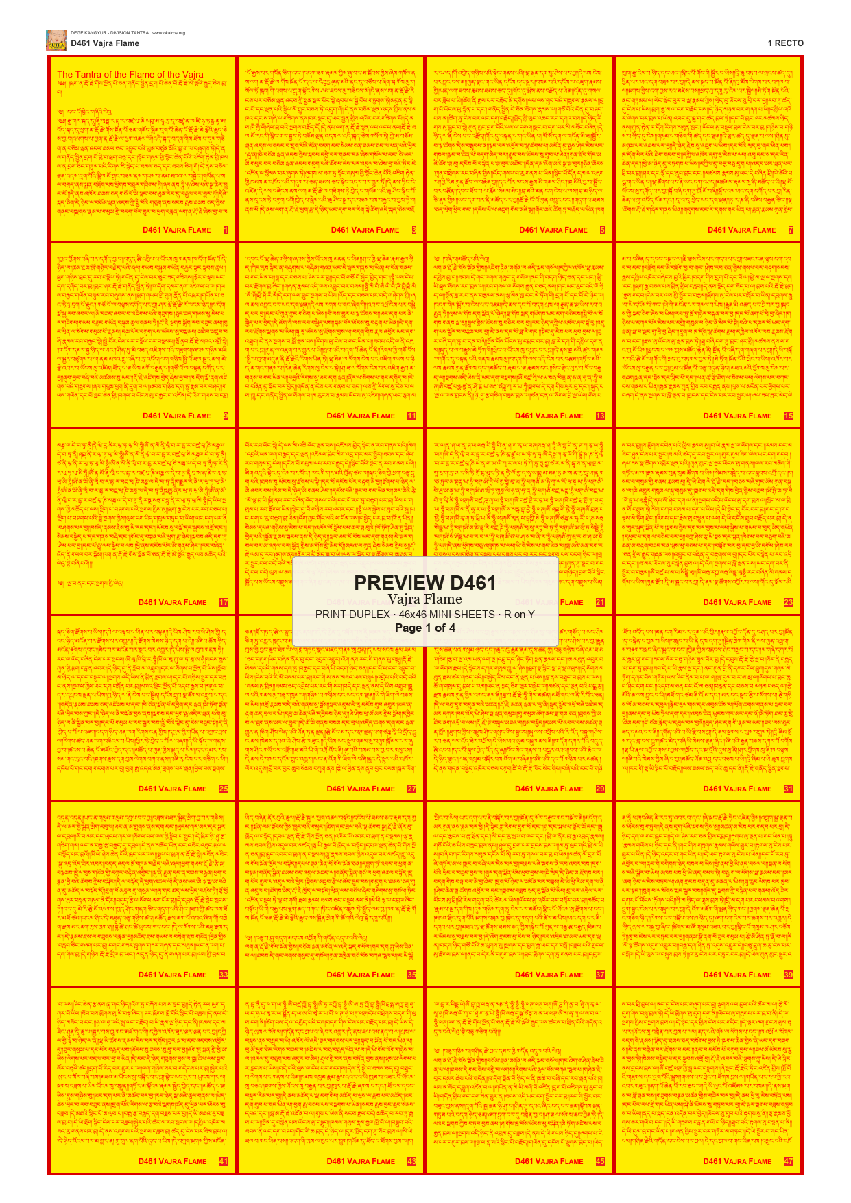 Preview DEGE-KANG-D00461 — page 1