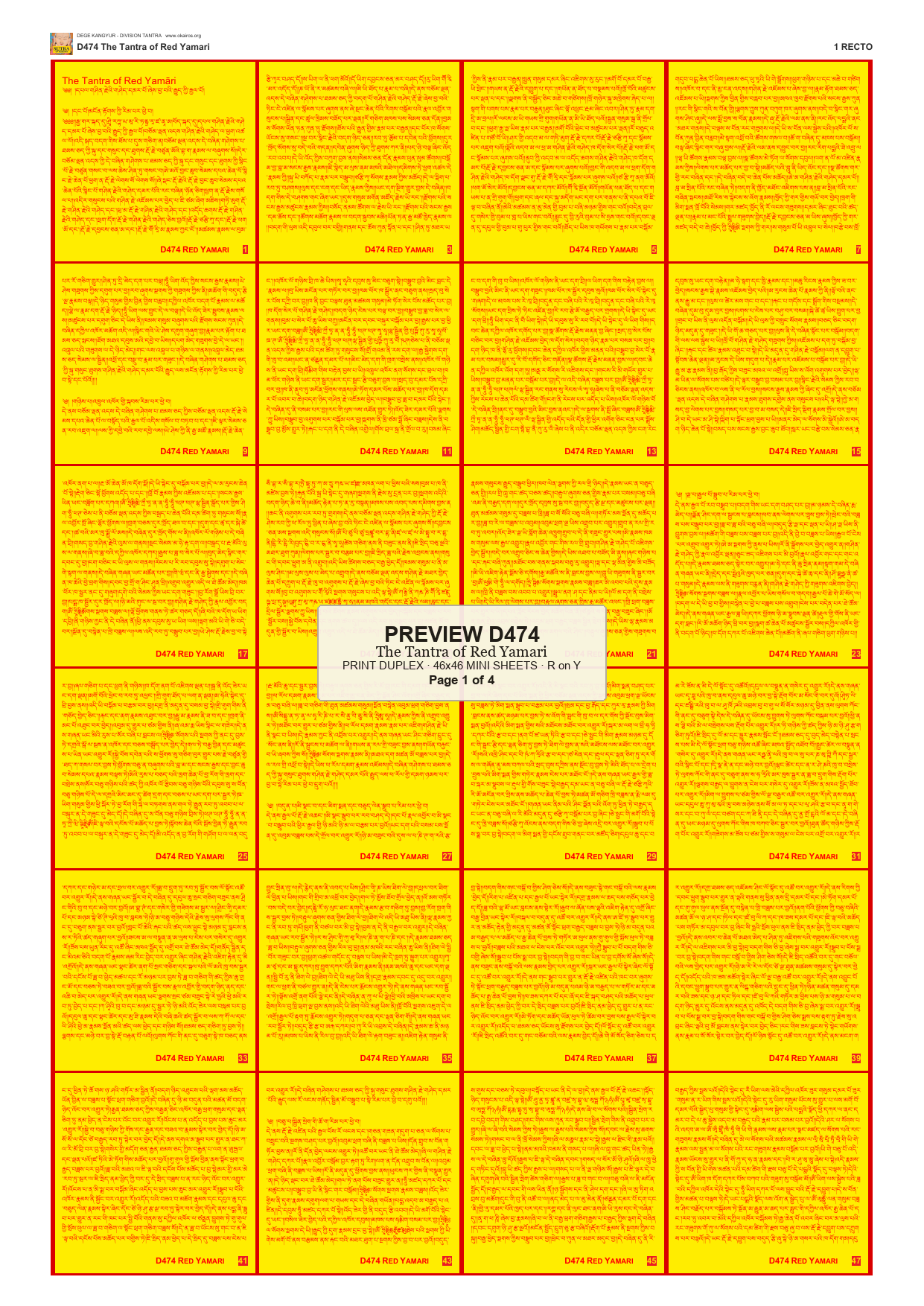 Preview DEGE-KANG-D00474 — page 1