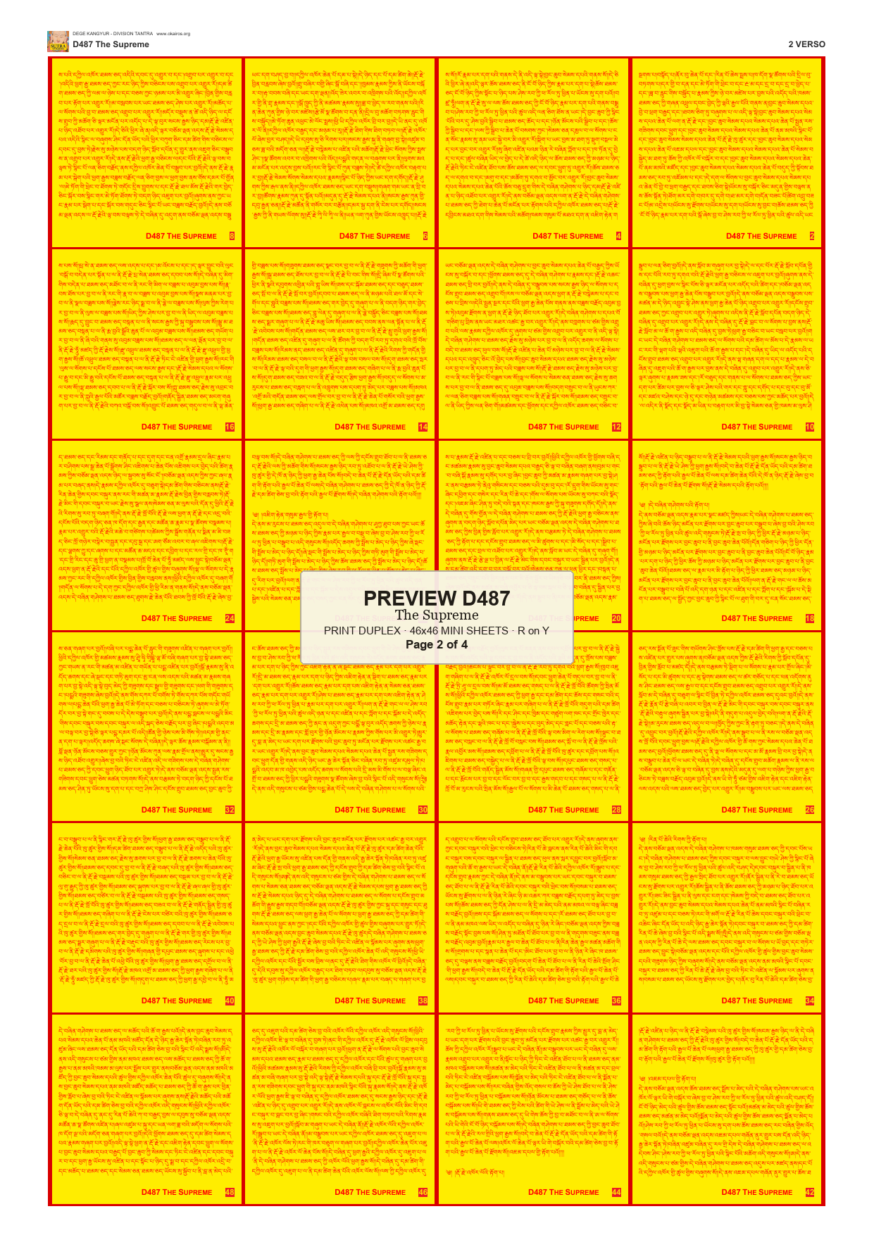 Preview DEGE-KANG-D00487 — page 2