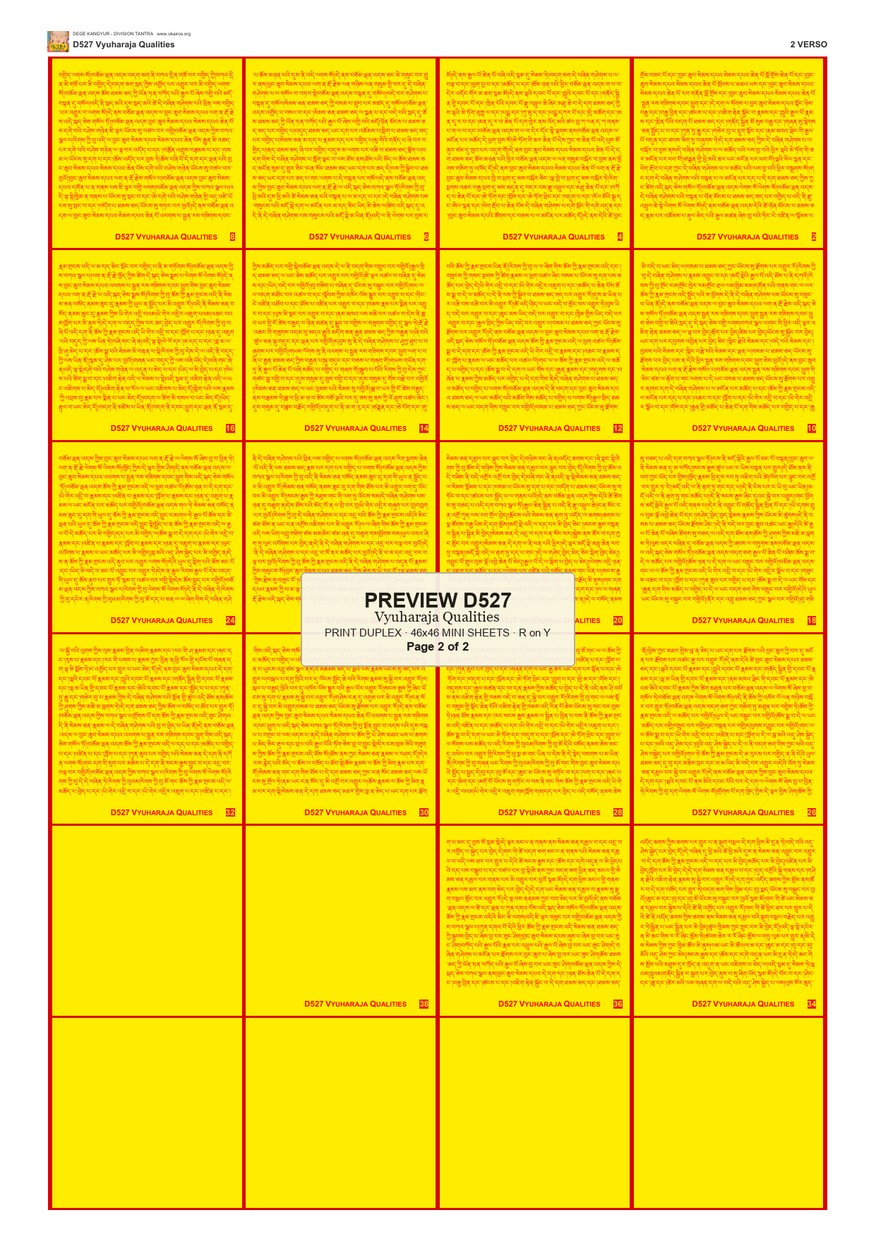 Preview DEGE-KANG-D00527 — page 2