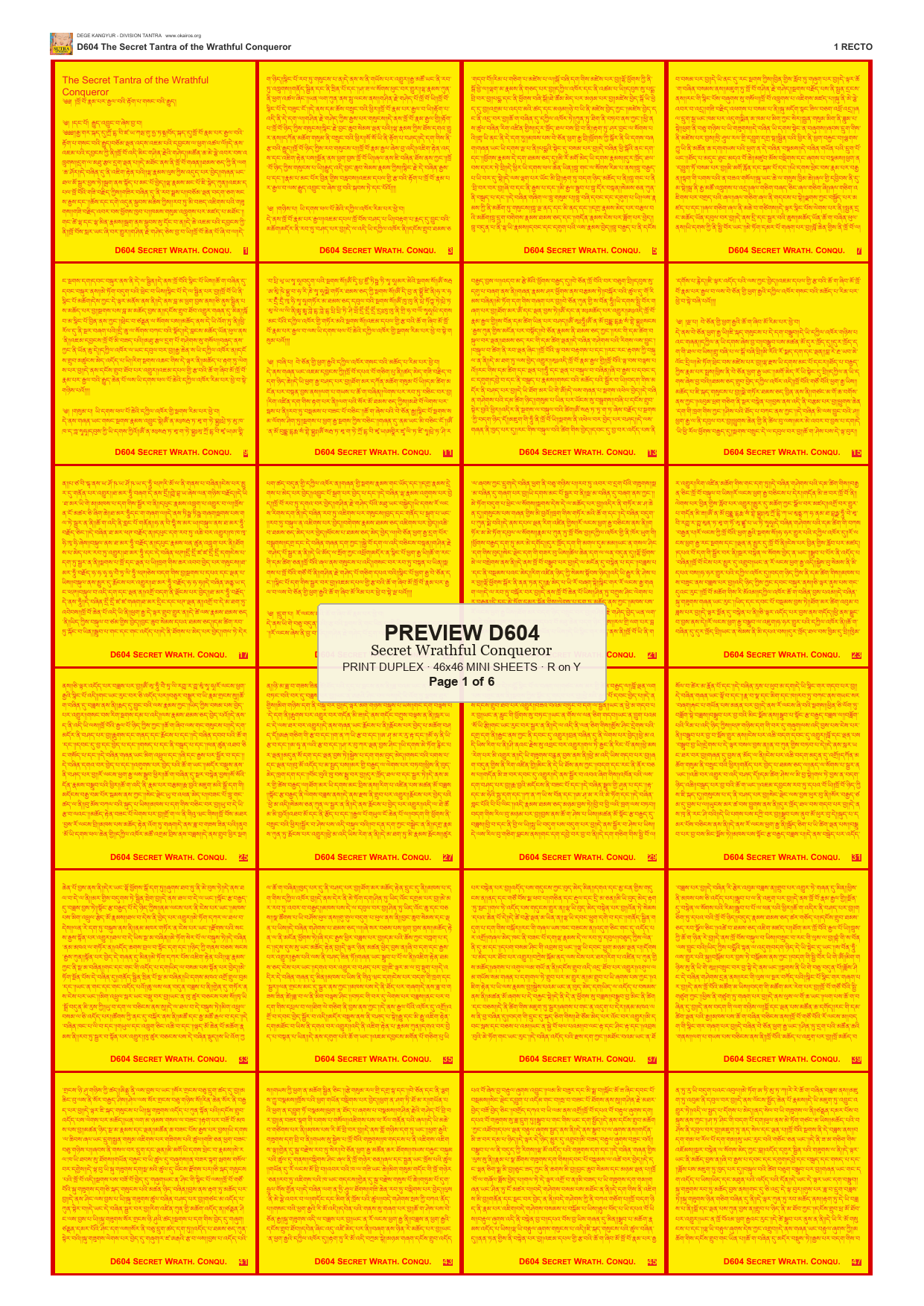 Preview DEGE-KANG-D00604 — page 1