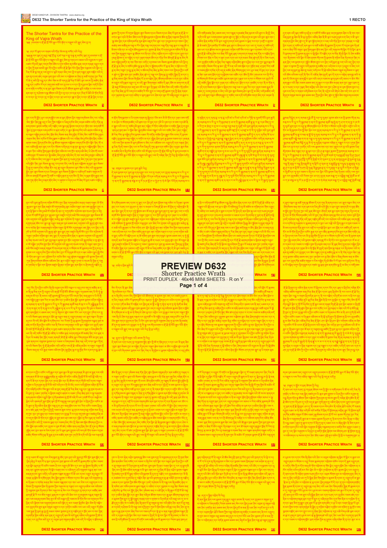 Preview DEGE-KANG-D00632 — page 1
