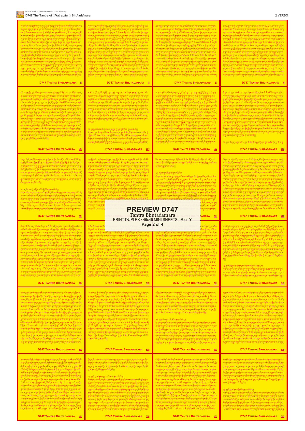 Preview DEGE-KANG-D00747 — page 2